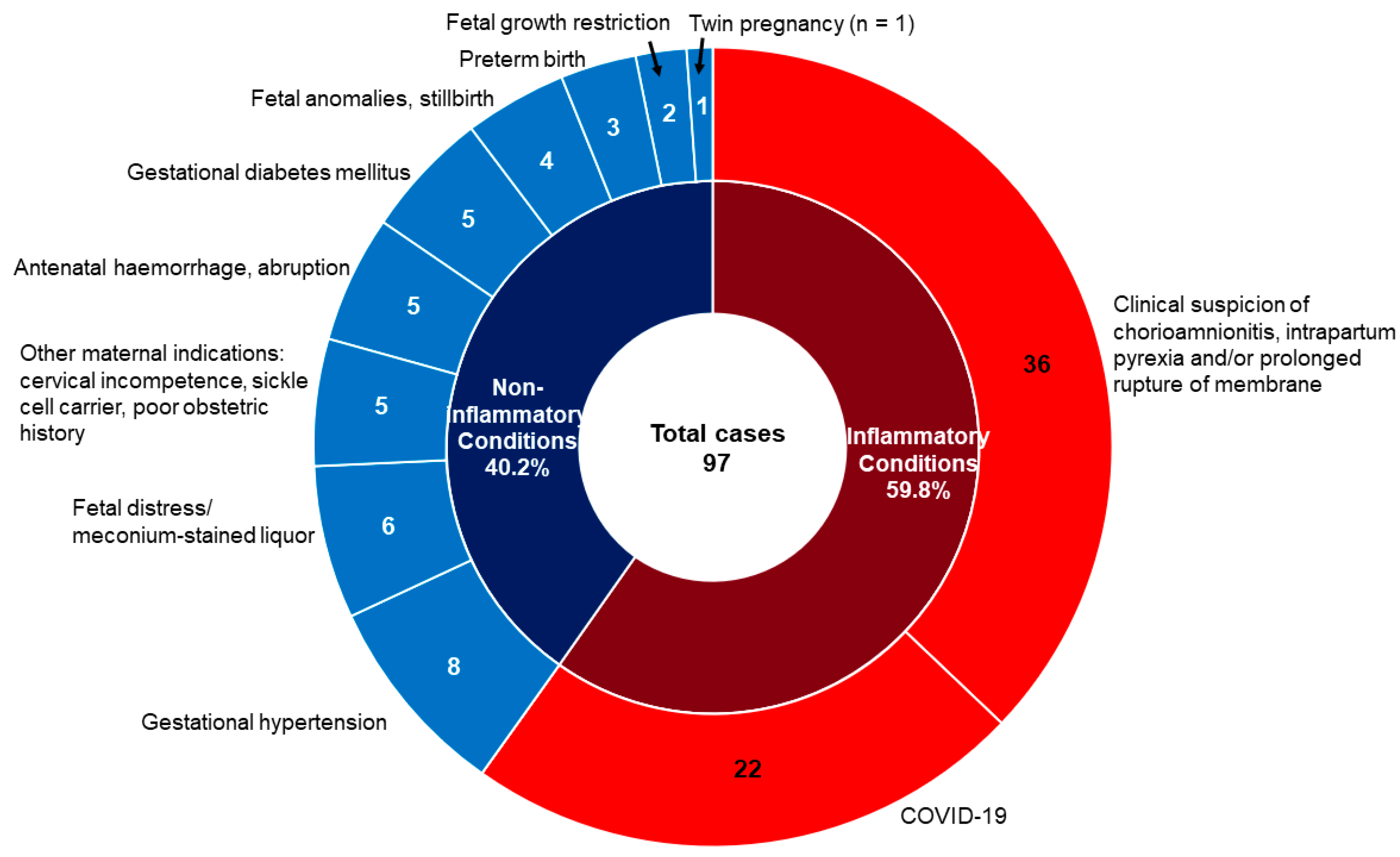 Diagnostics 13 00487 g001