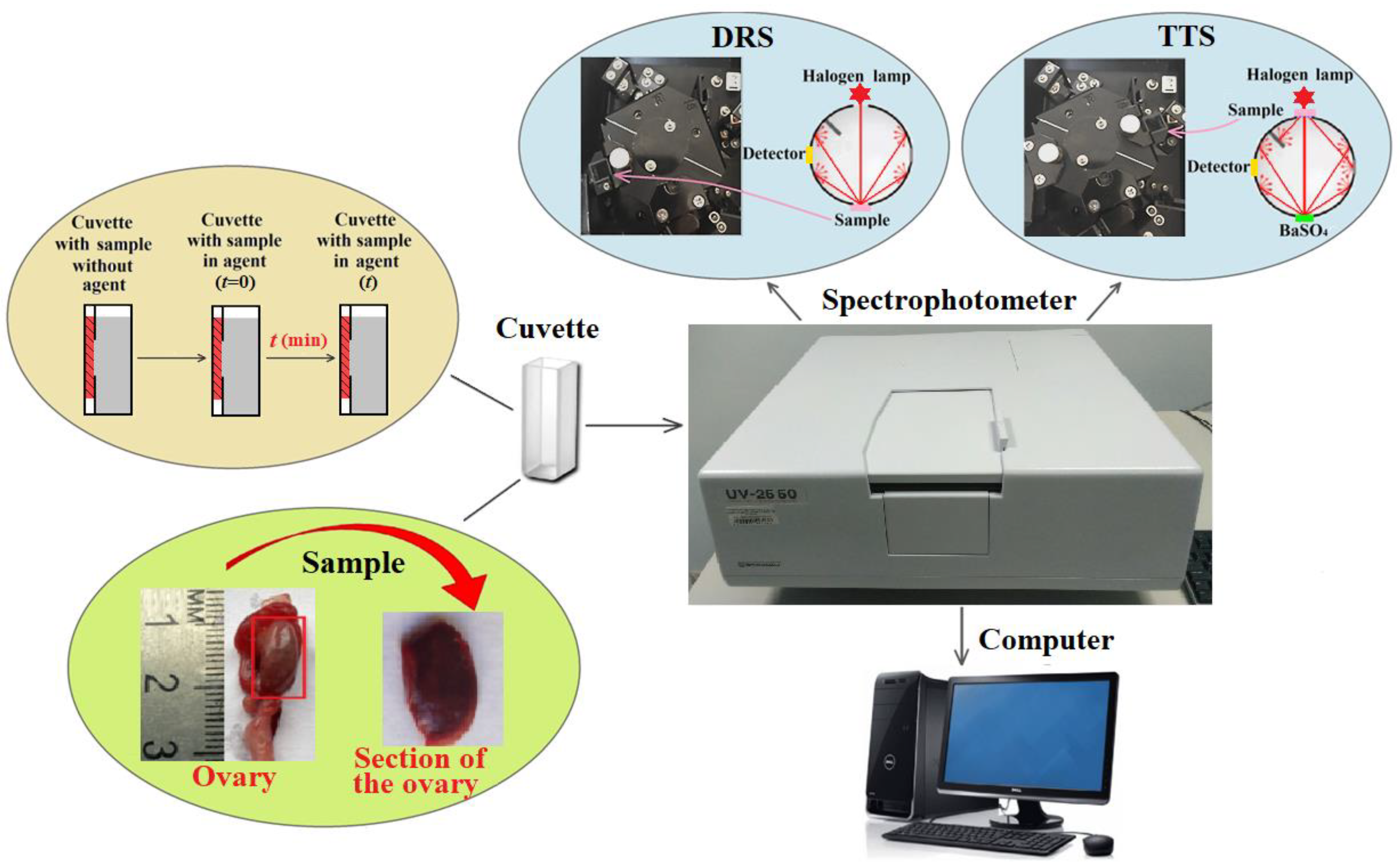 Diagnostics 13 00490 g003