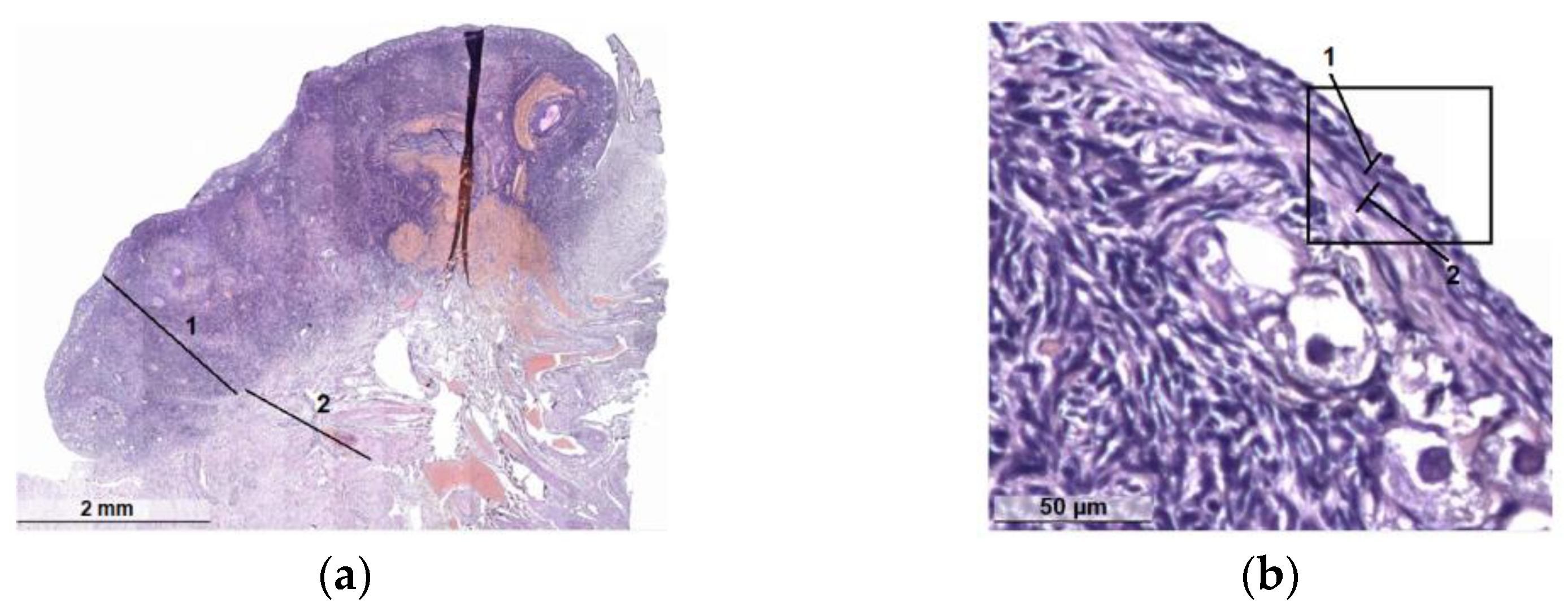 Diagnostics 13 00490 g005