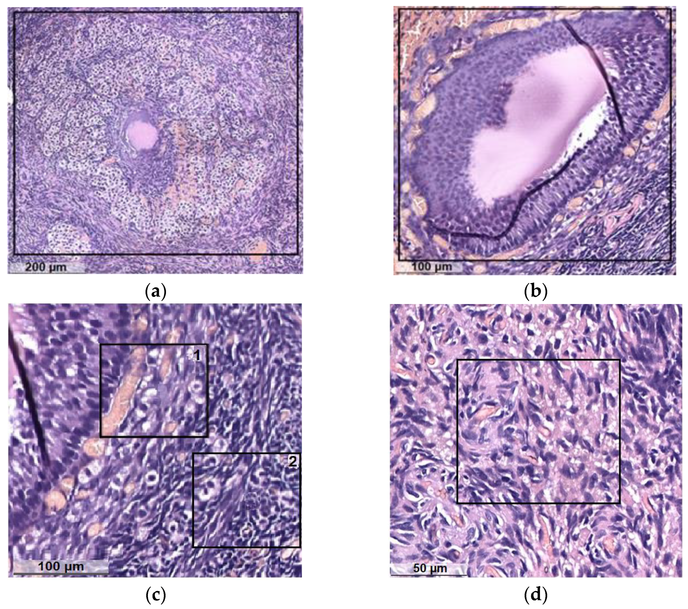Diagnostics 13 00490 g007