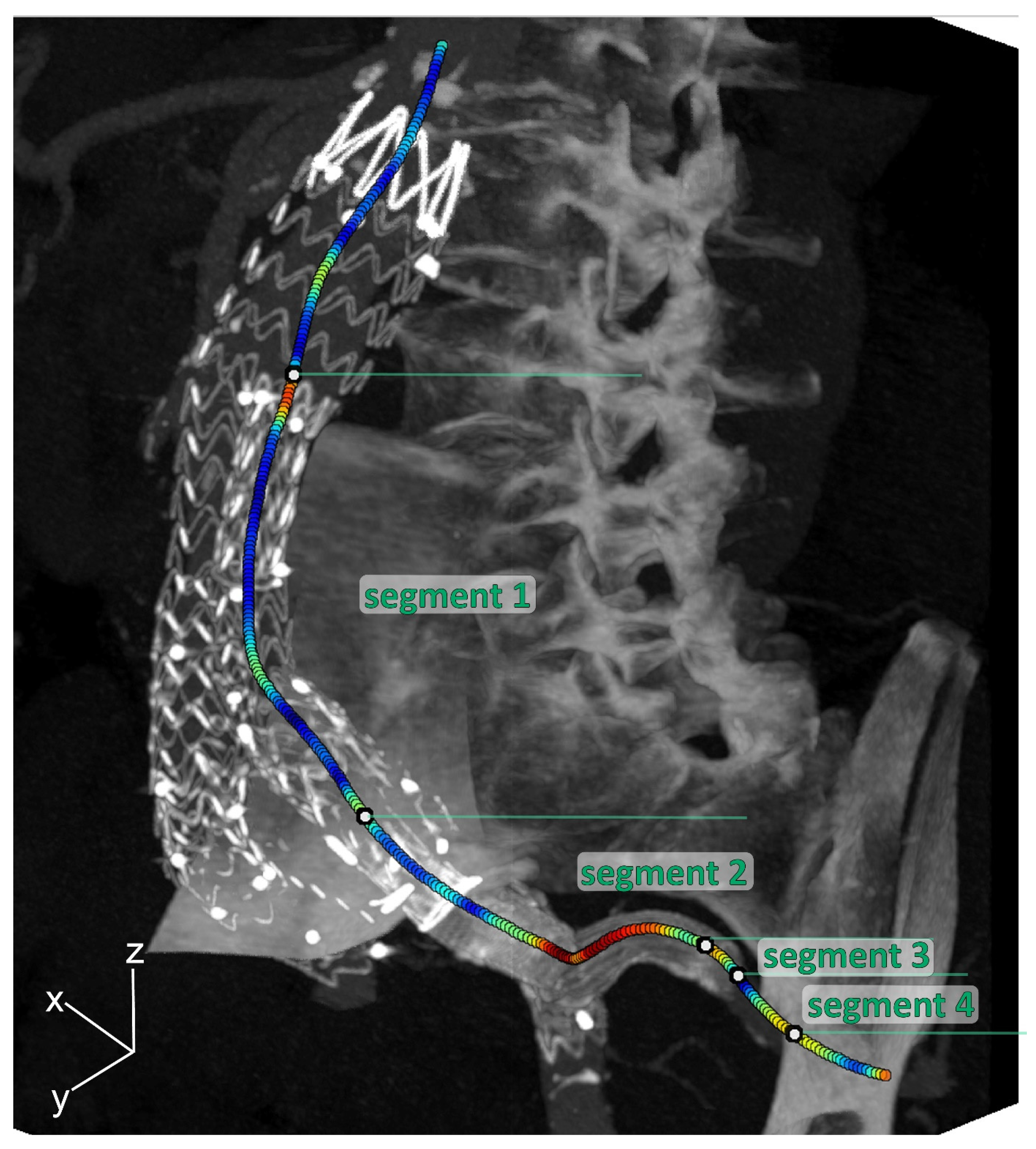 Diagnostics 13 00496 g002