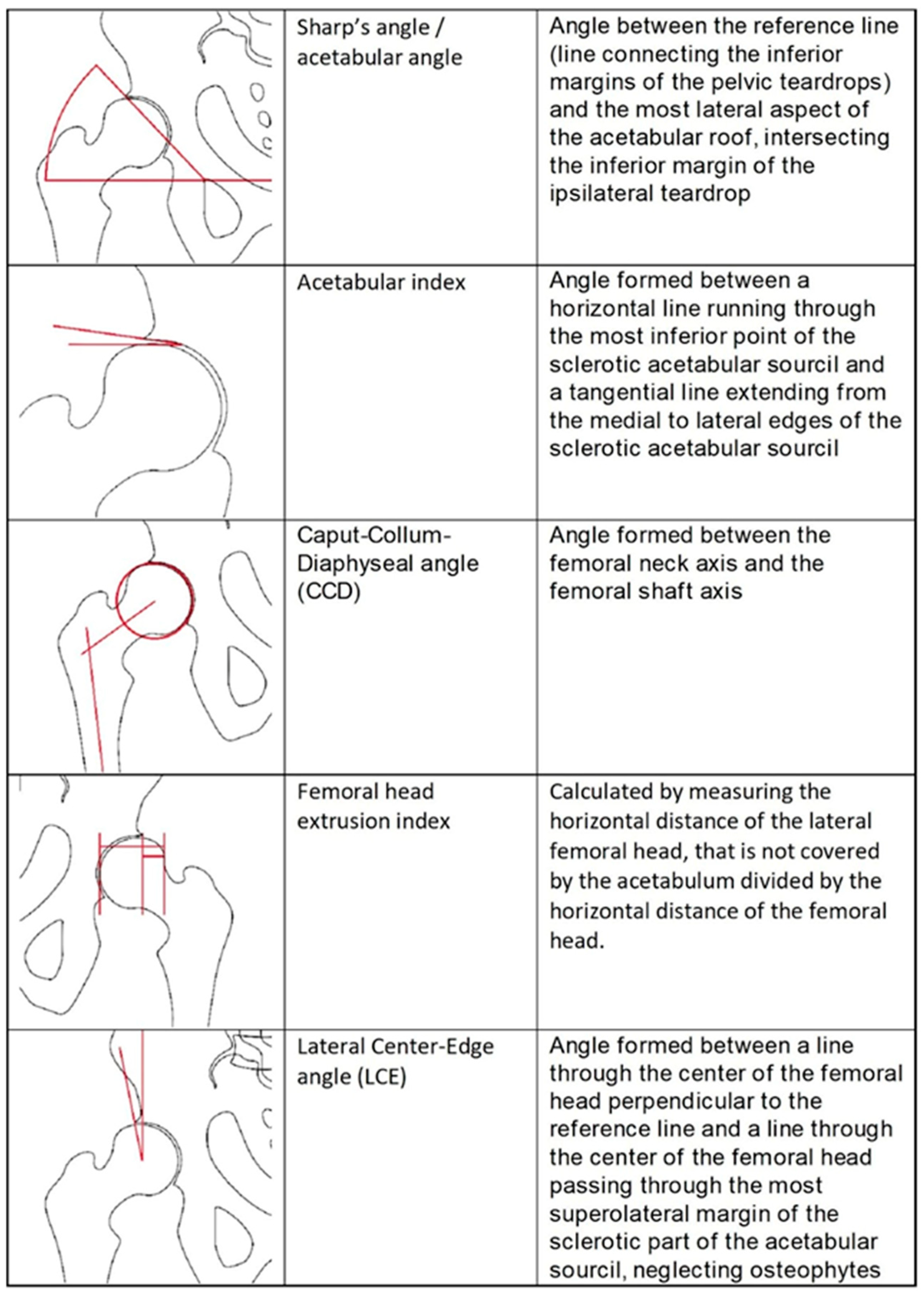 Diagnostics 13 00497 g003