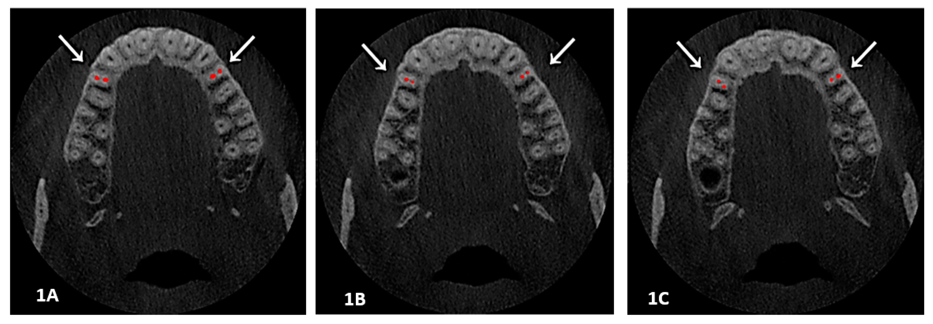 Diagnostics 13 00498 g001