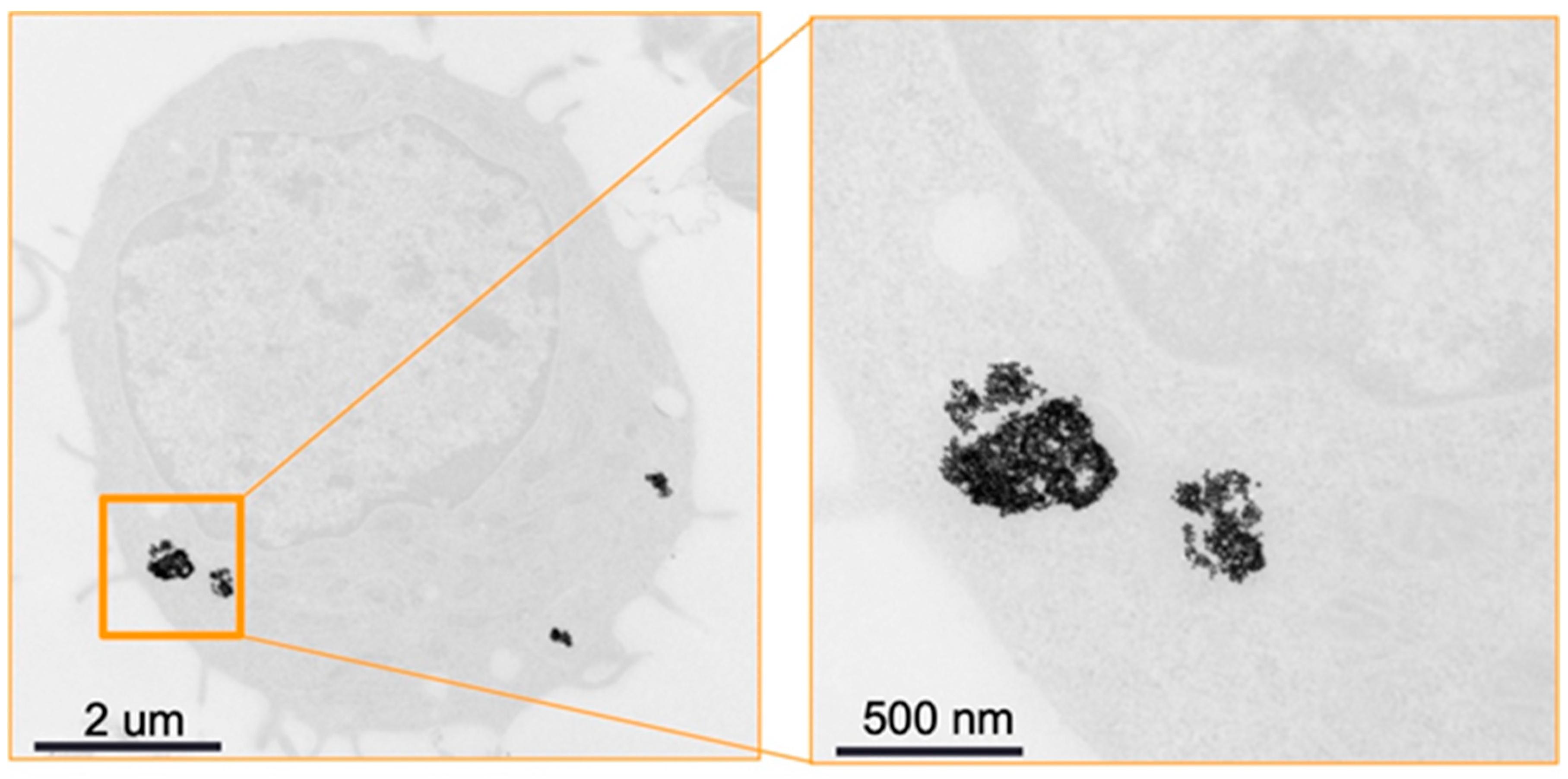 Diagnostics 13 00499 g006