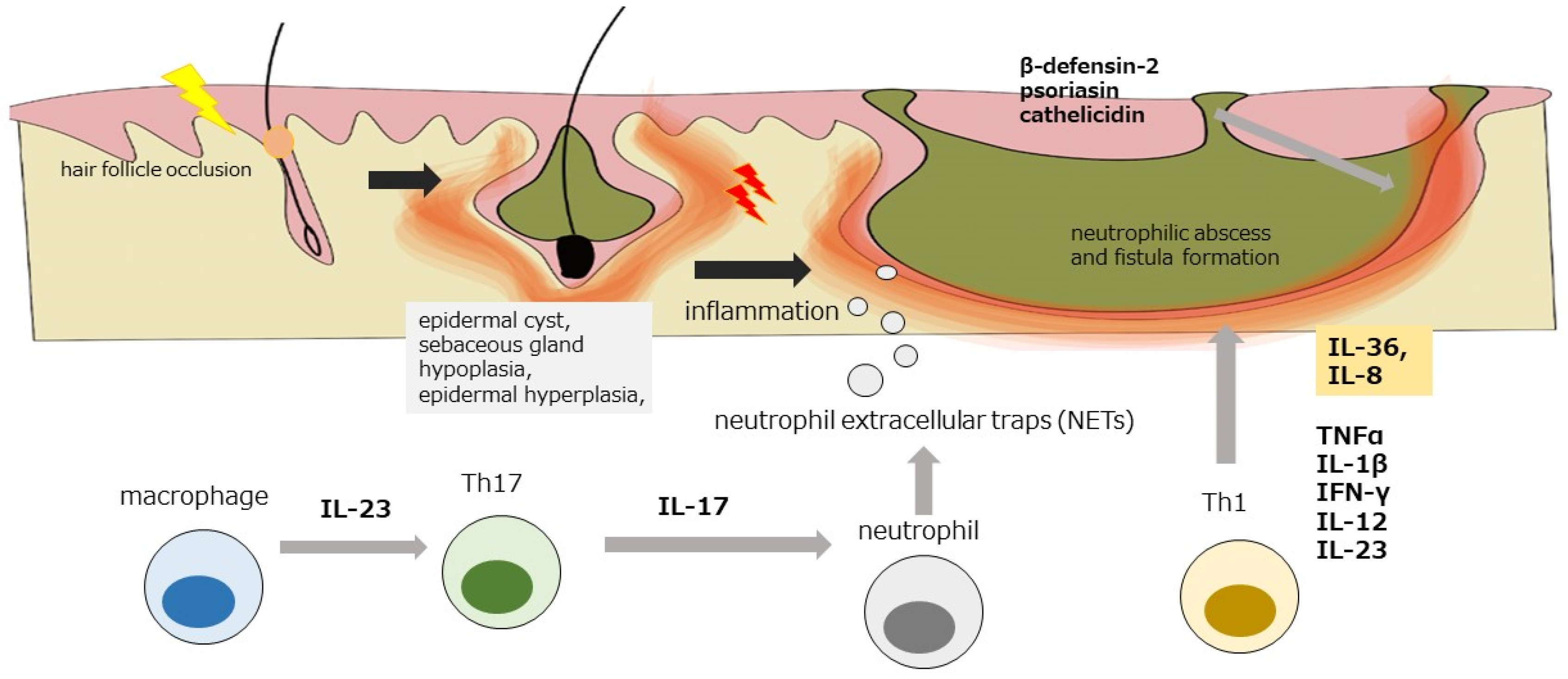 Diagnostics 13 00502 g001 Diagnostics 13 00502 g001