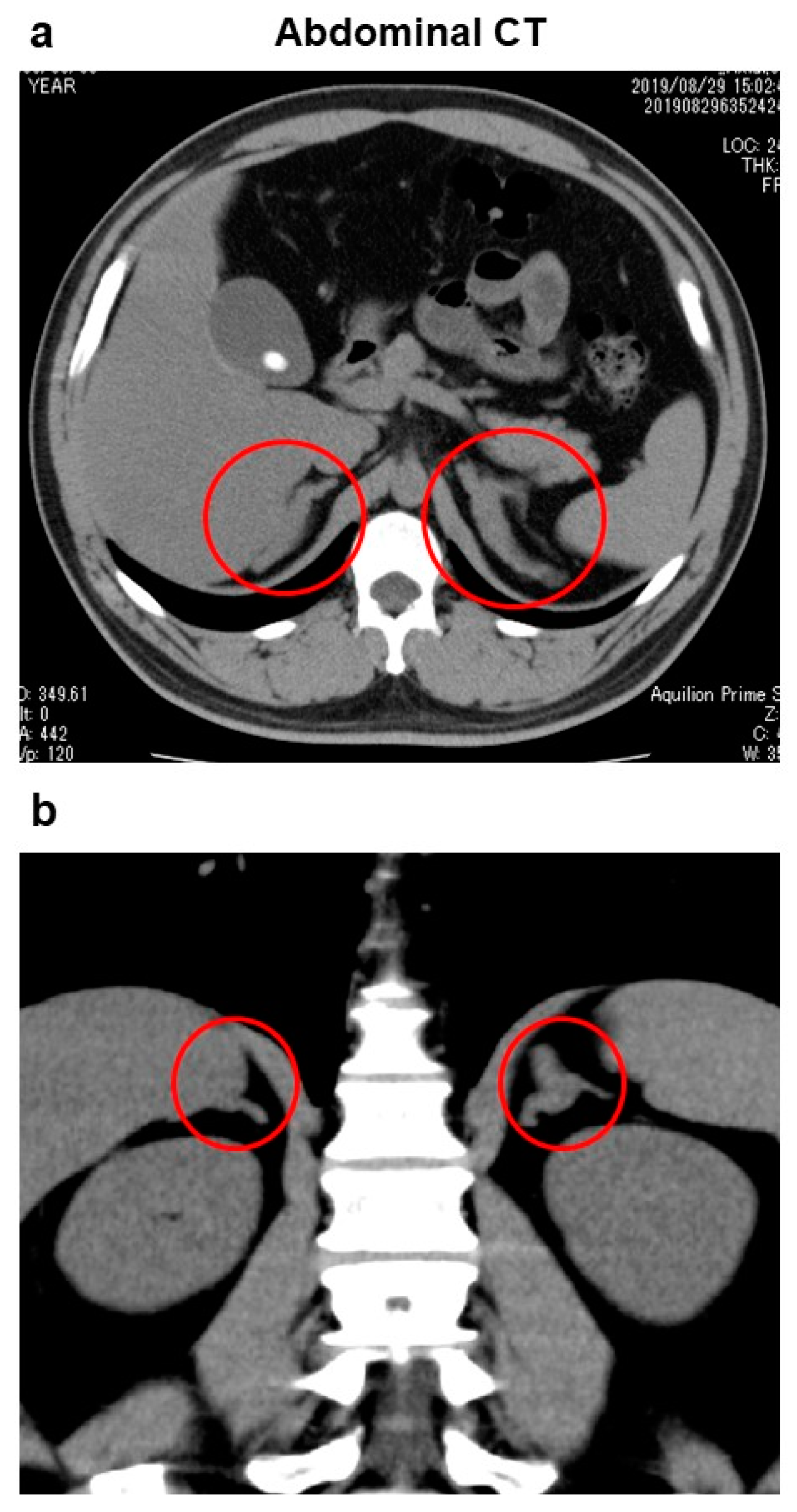 Diagnostics 13 00505 g001 Diagnostics 13 00505 g001