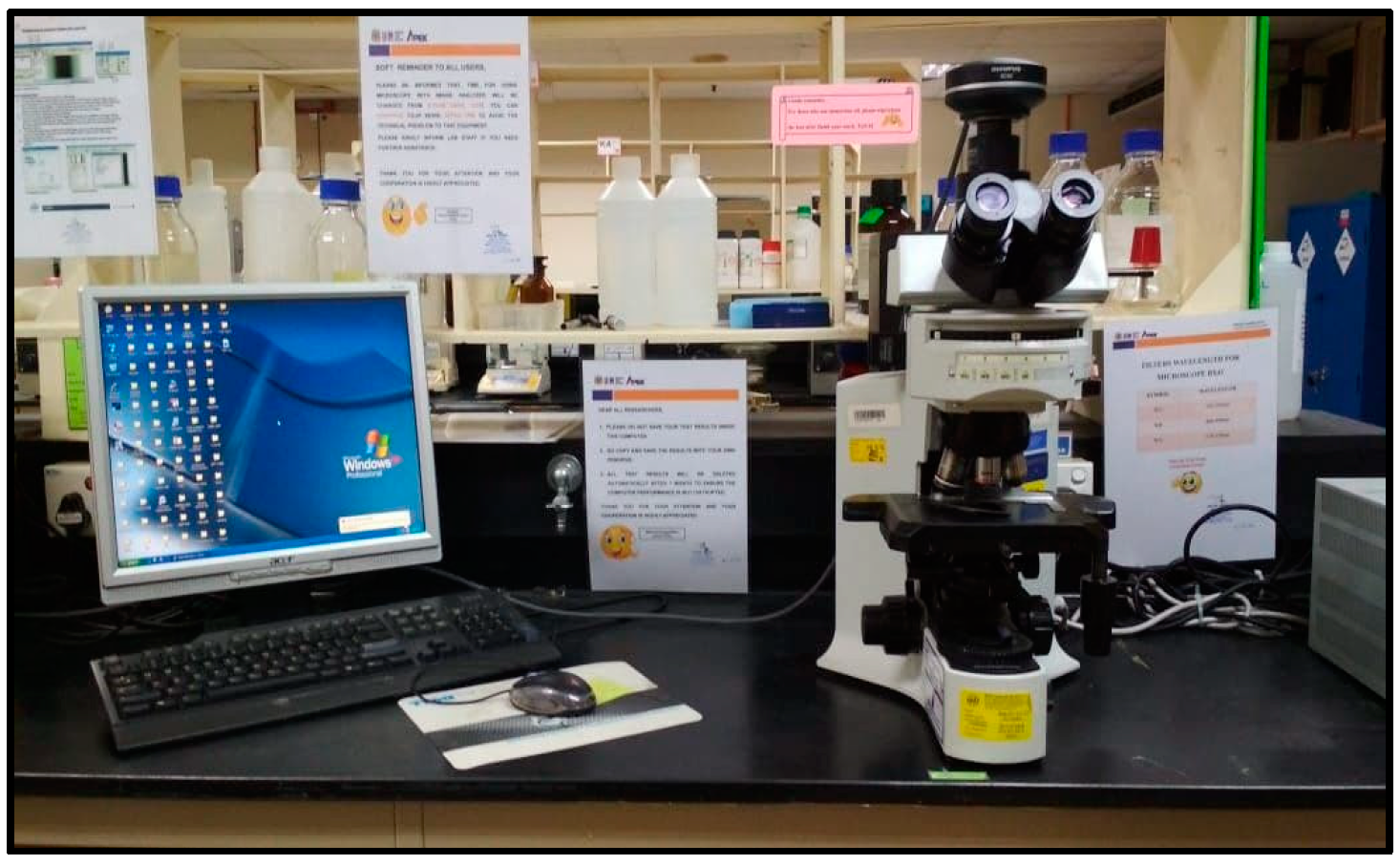 Diagnostics 13 00511 g001