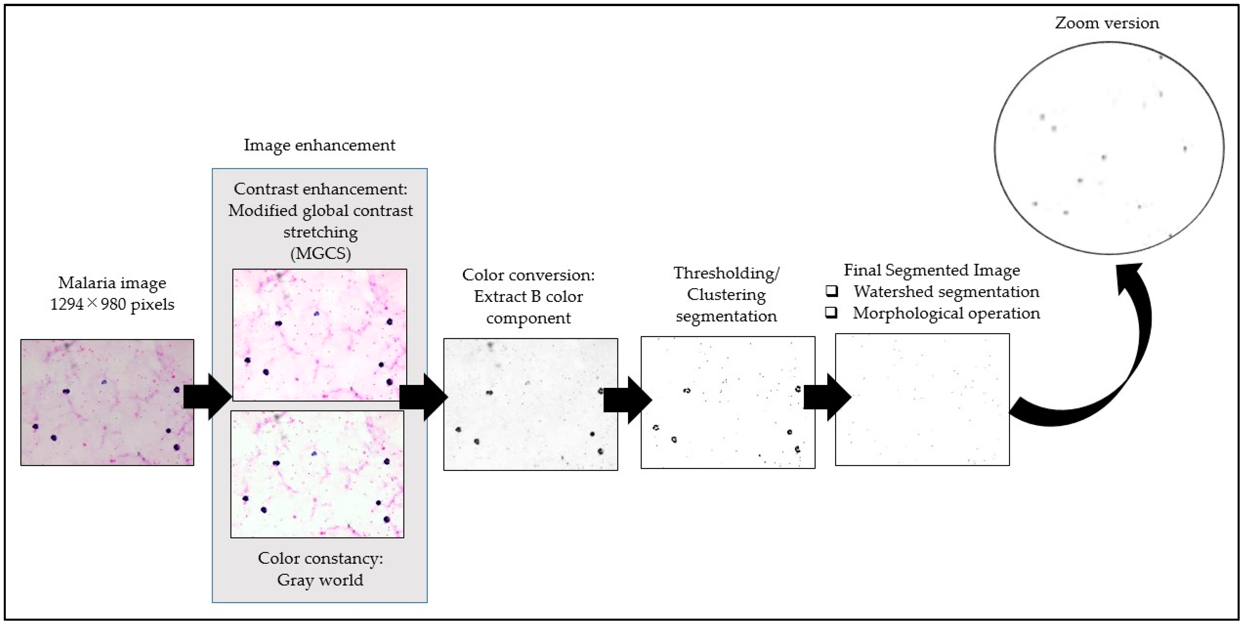 Diagnostics 13 00511 g003