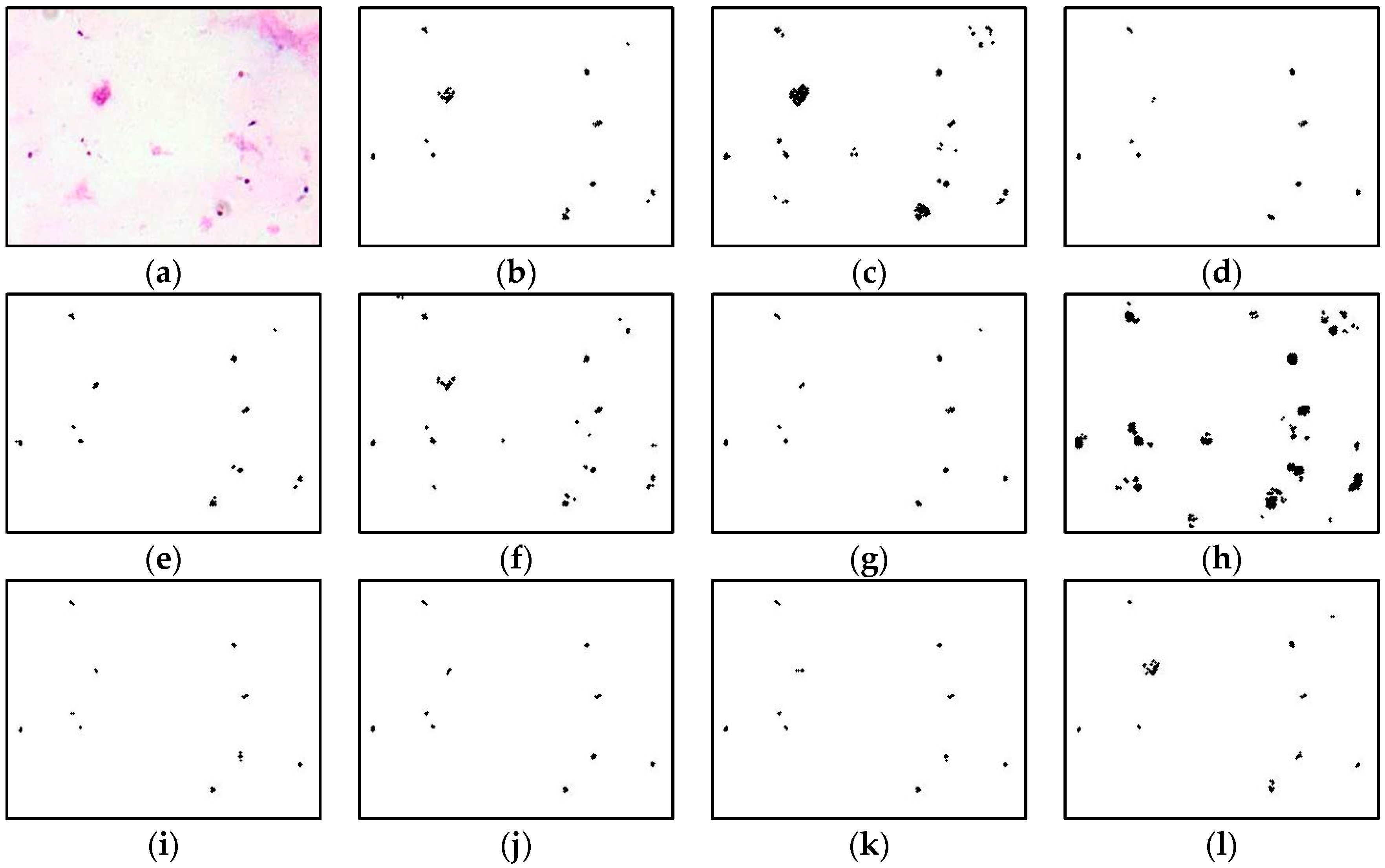 Diagnostics 13 00511 g005