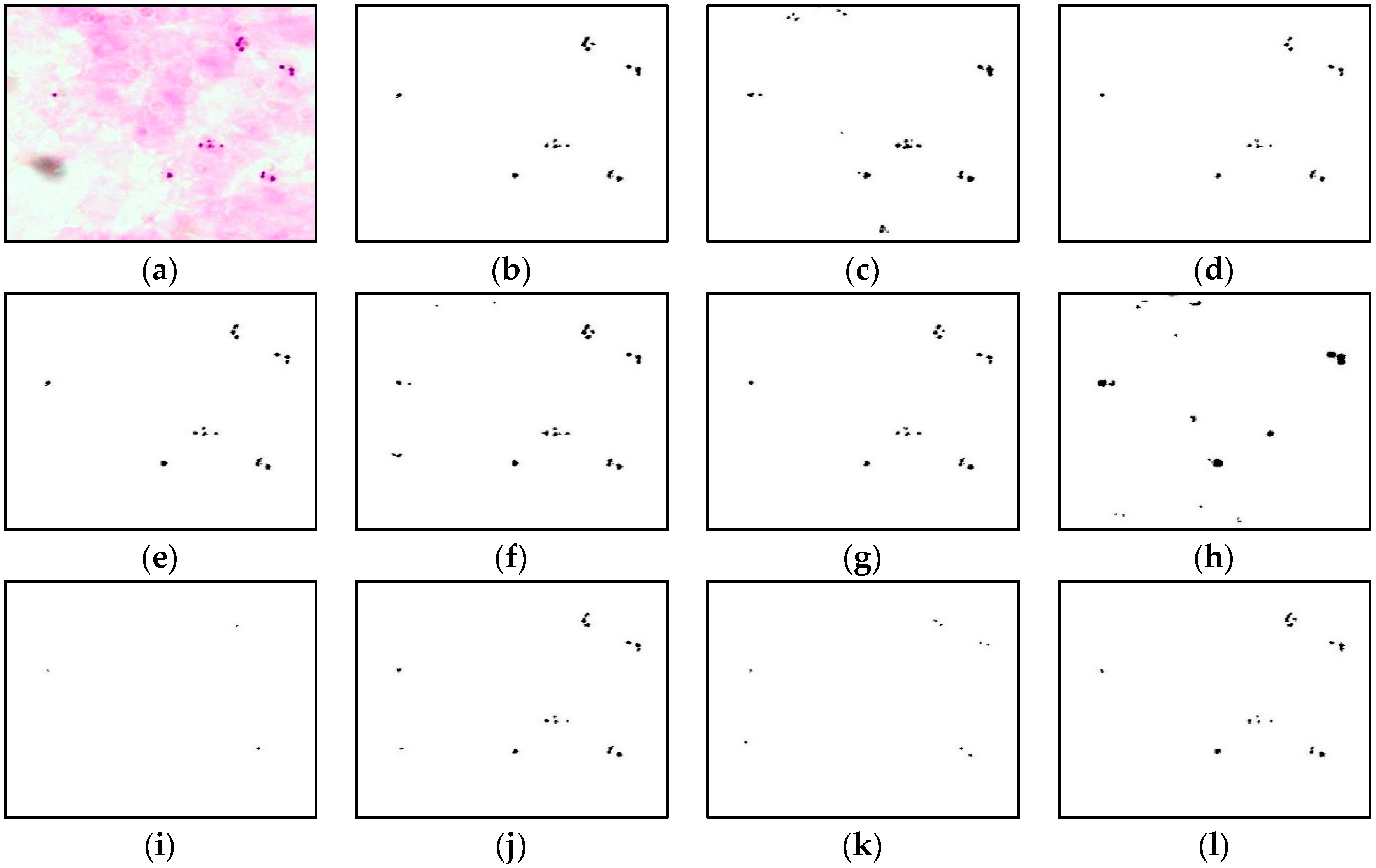 Diagnostics 13 00511 g006