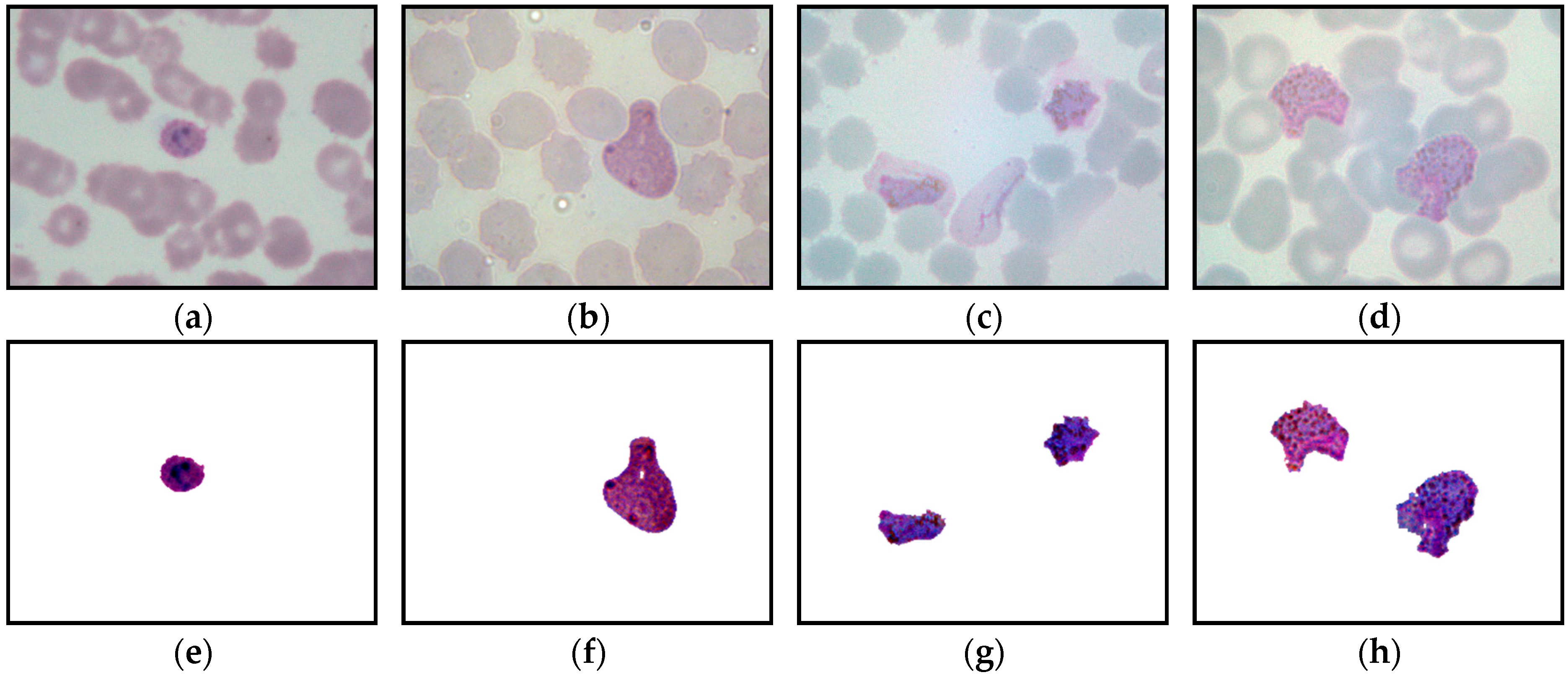 Diagnostics 13 00511 g009