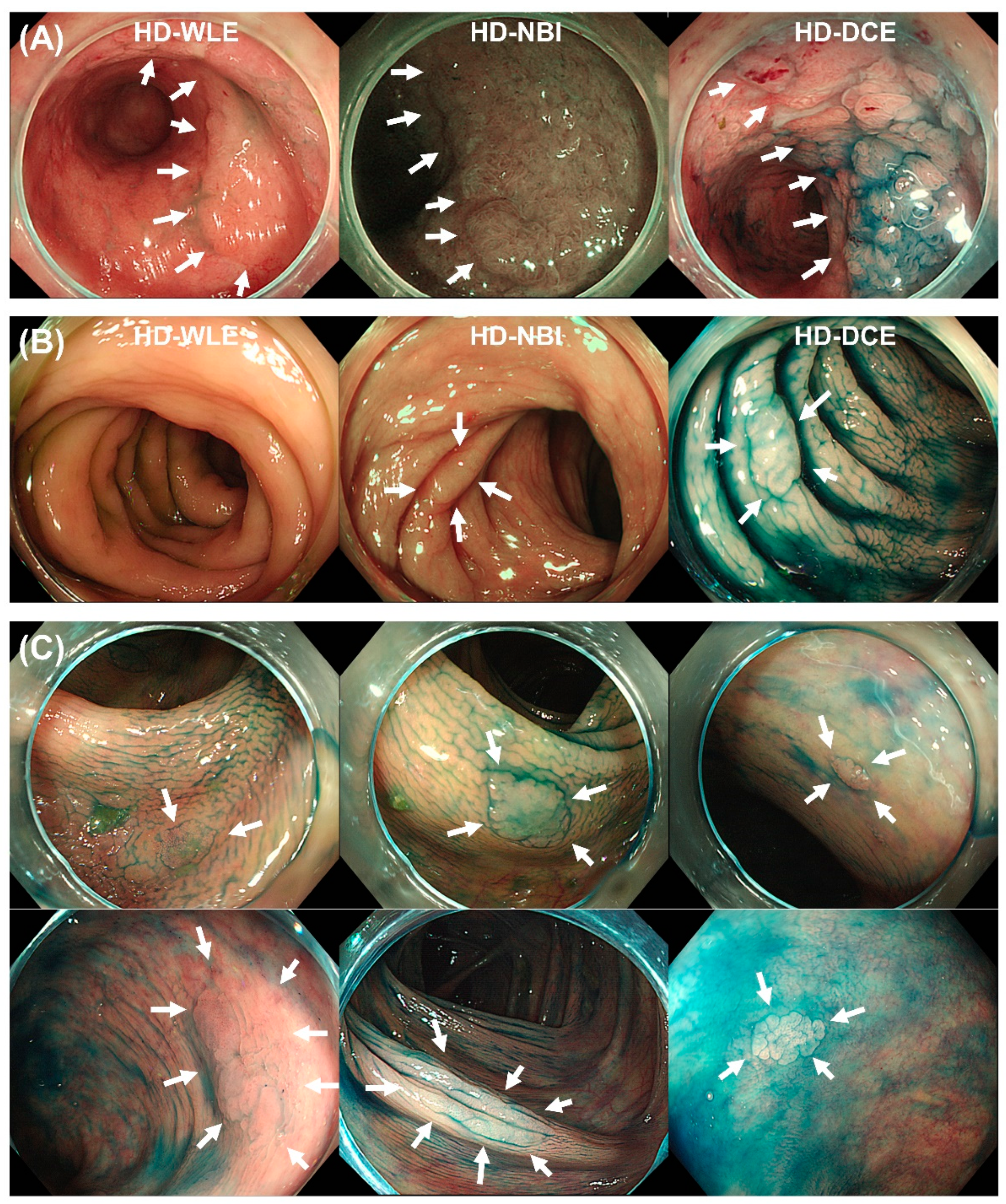 Diagnostics 13 00516 g003