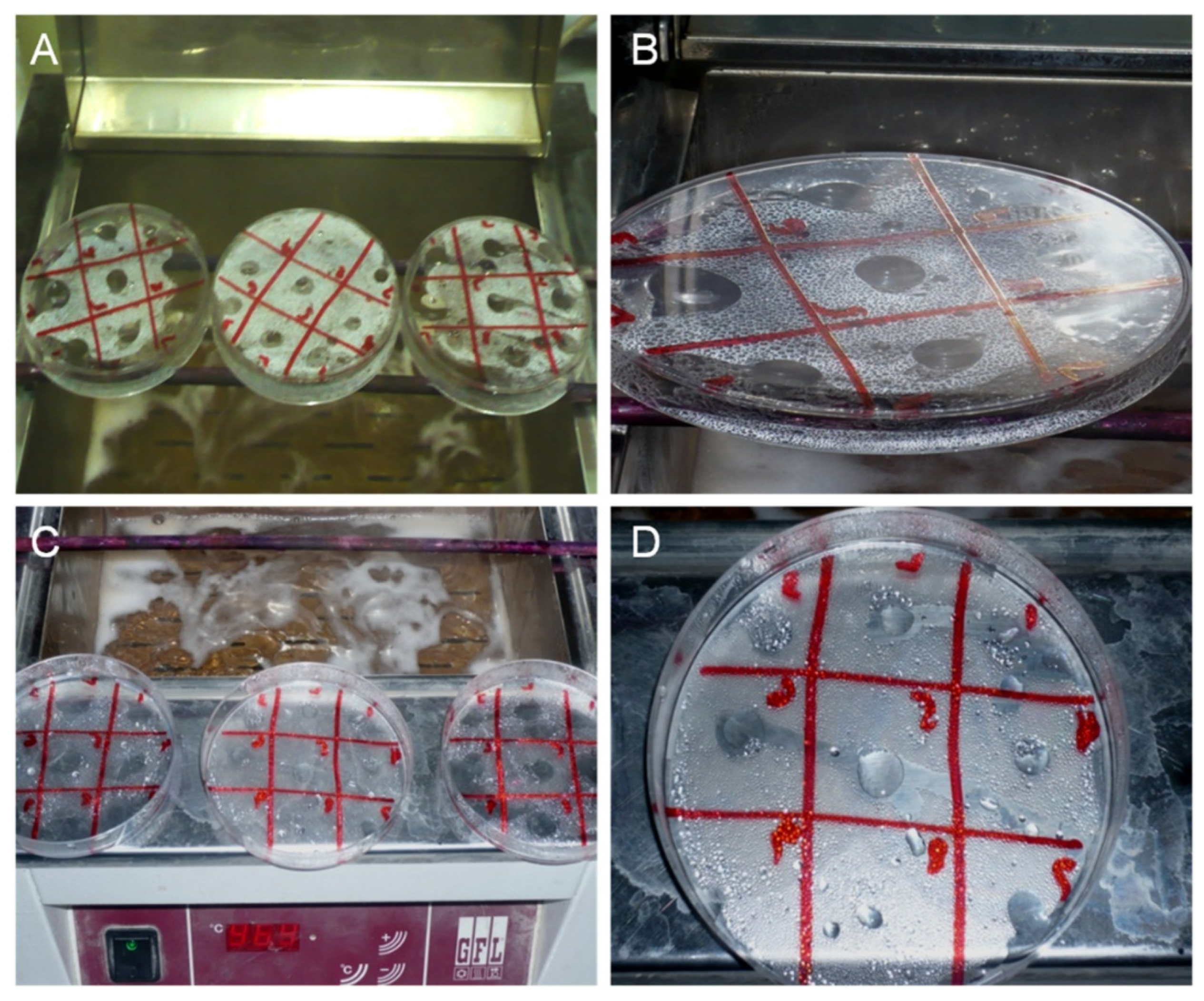 Diagnostics 13 00517 g001