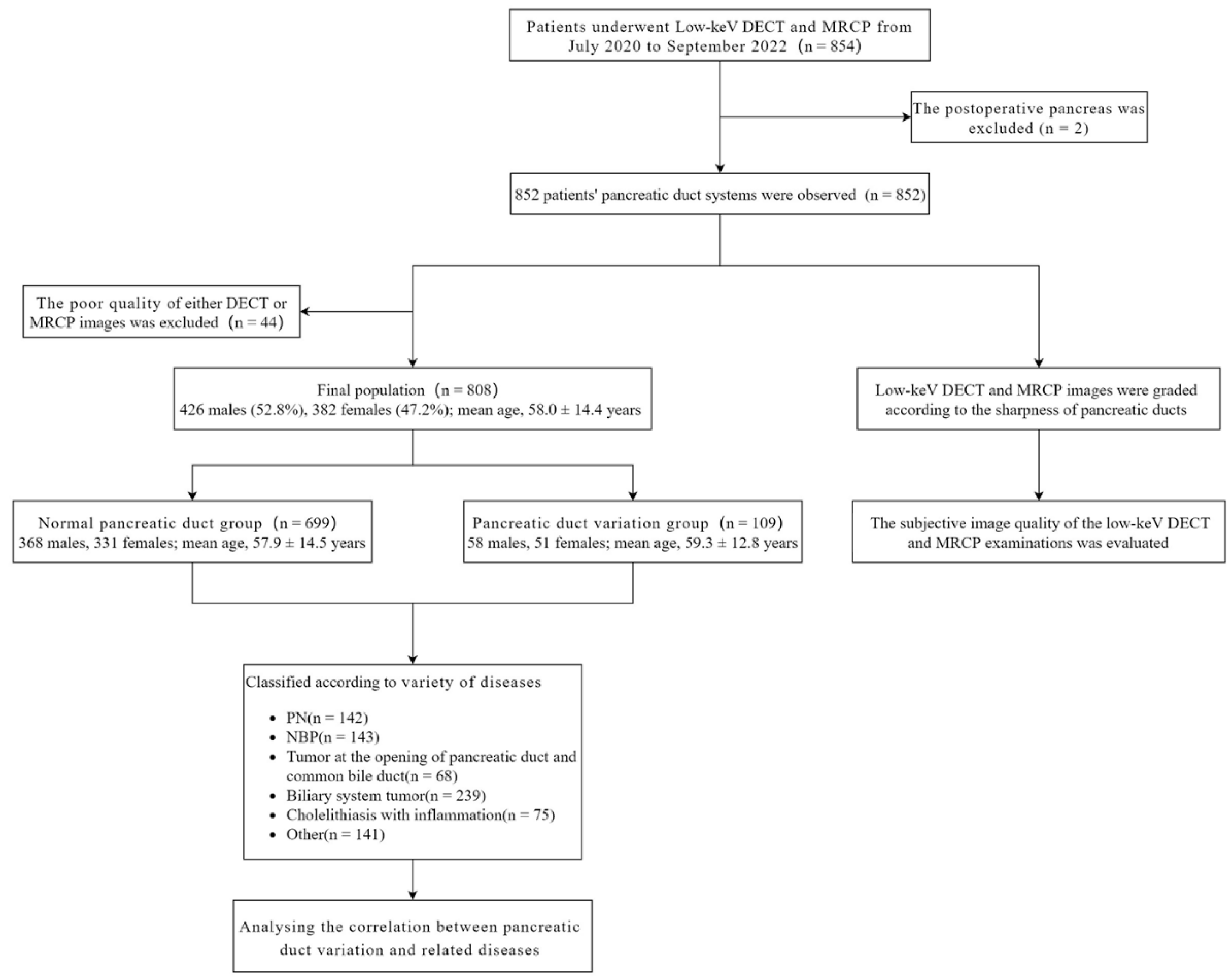 Diagnostics 13 00520 g001