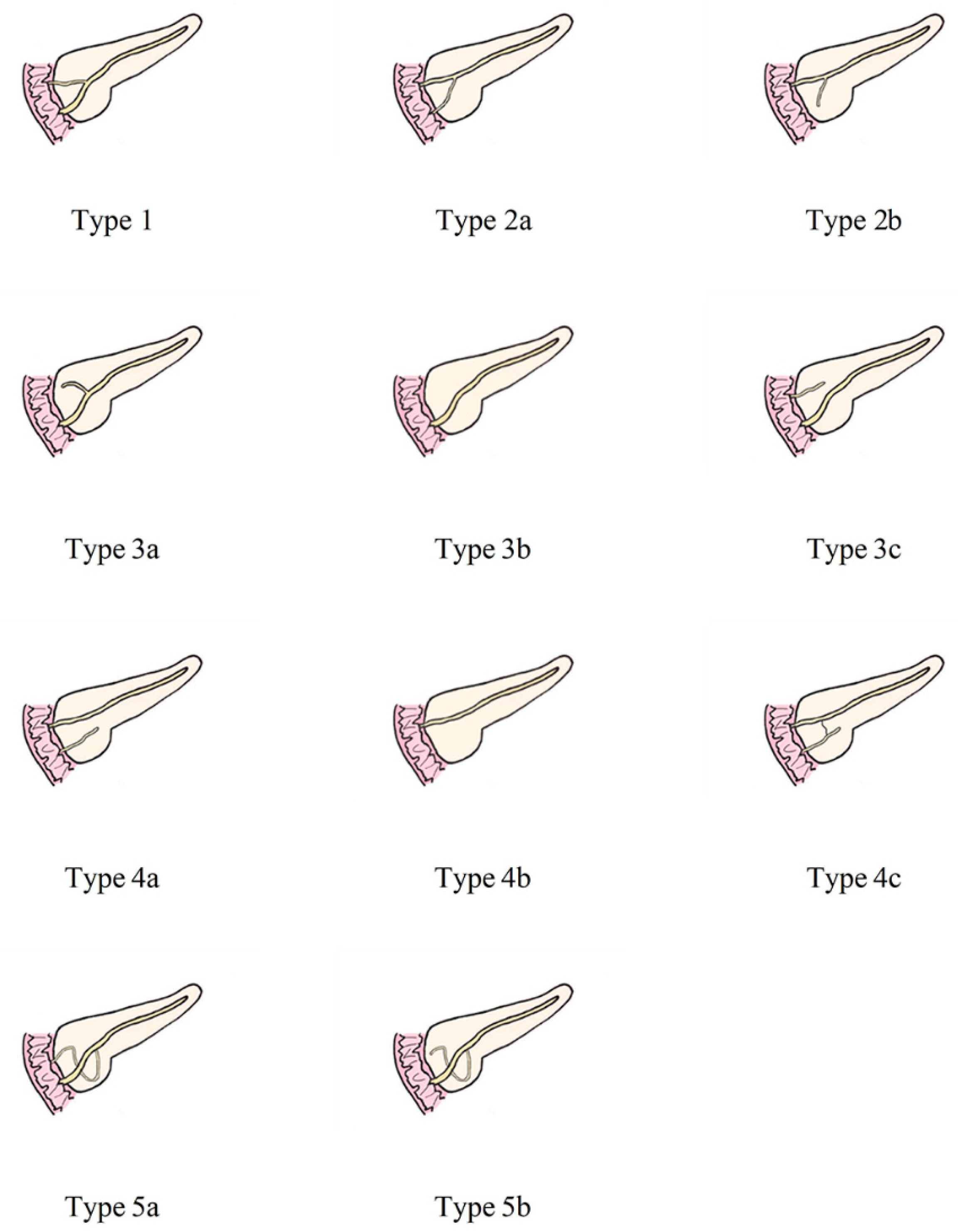 Diagnostics 13 00520 g002