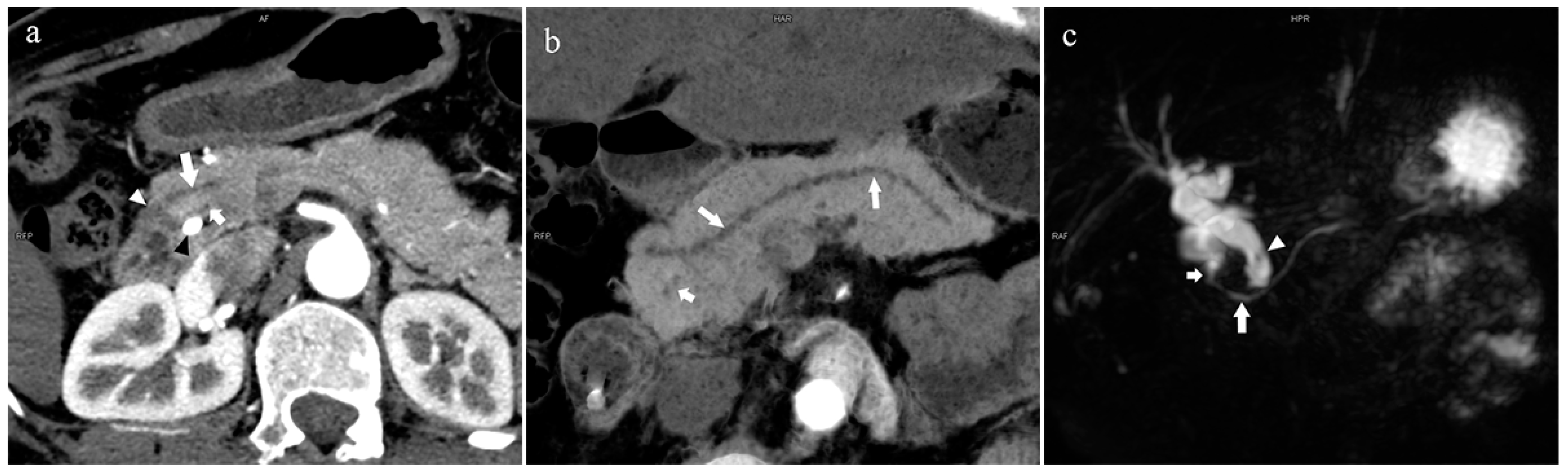 Diagnostics 13 00520 g007