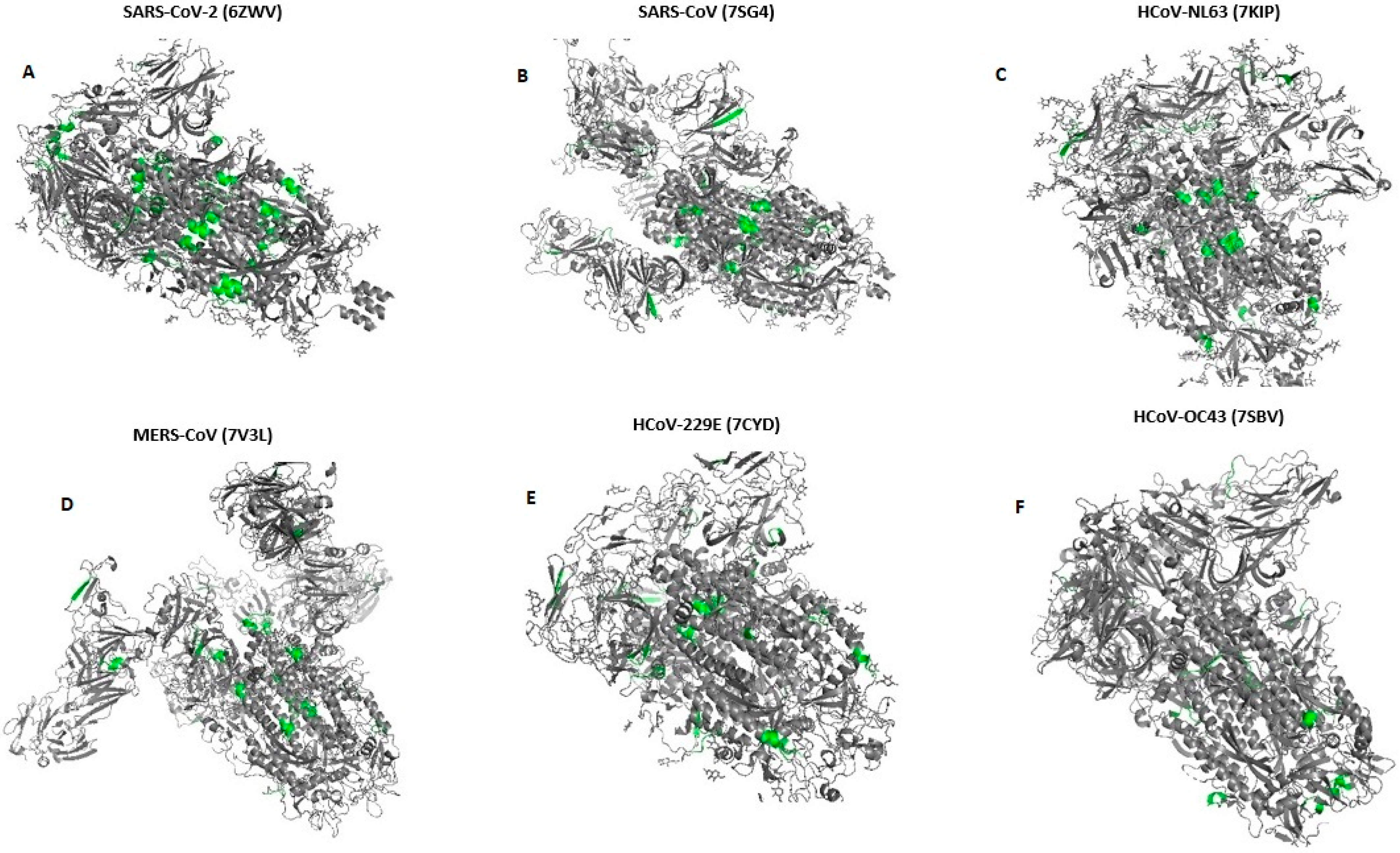 Diagnostics 13 00522 g001
