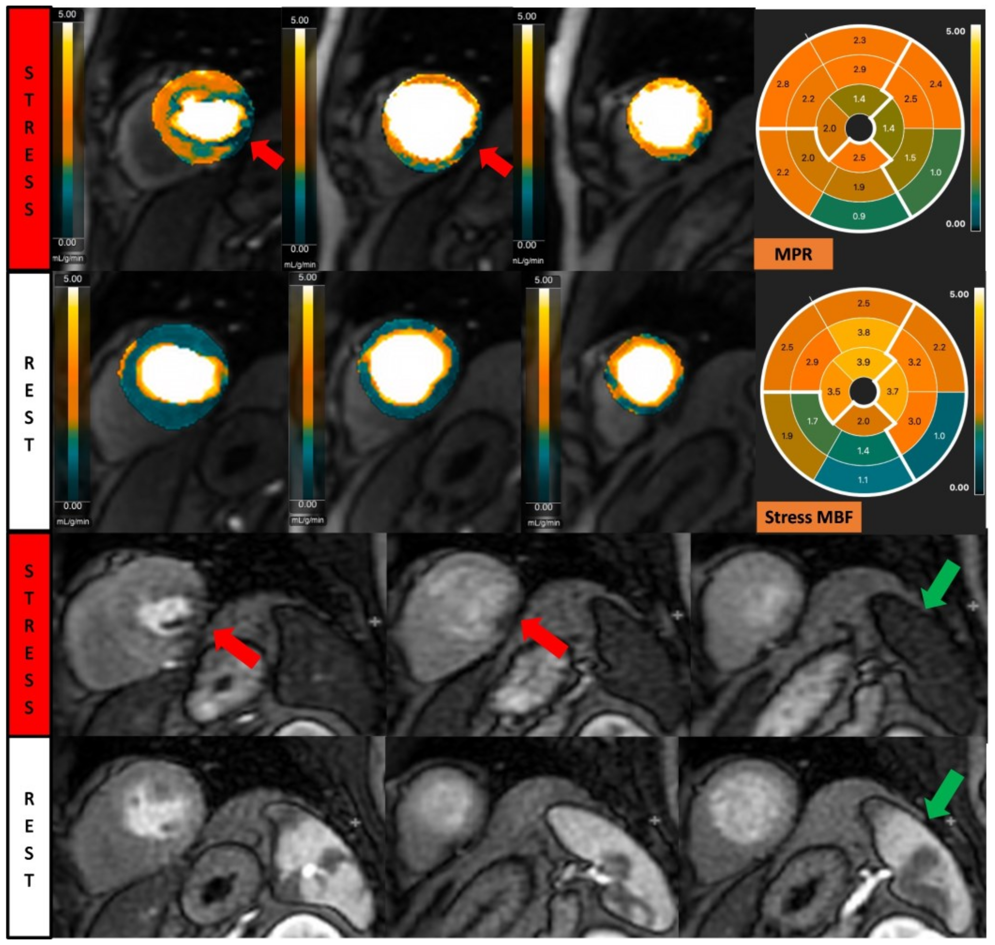 Diagnostics 13 00524 g002