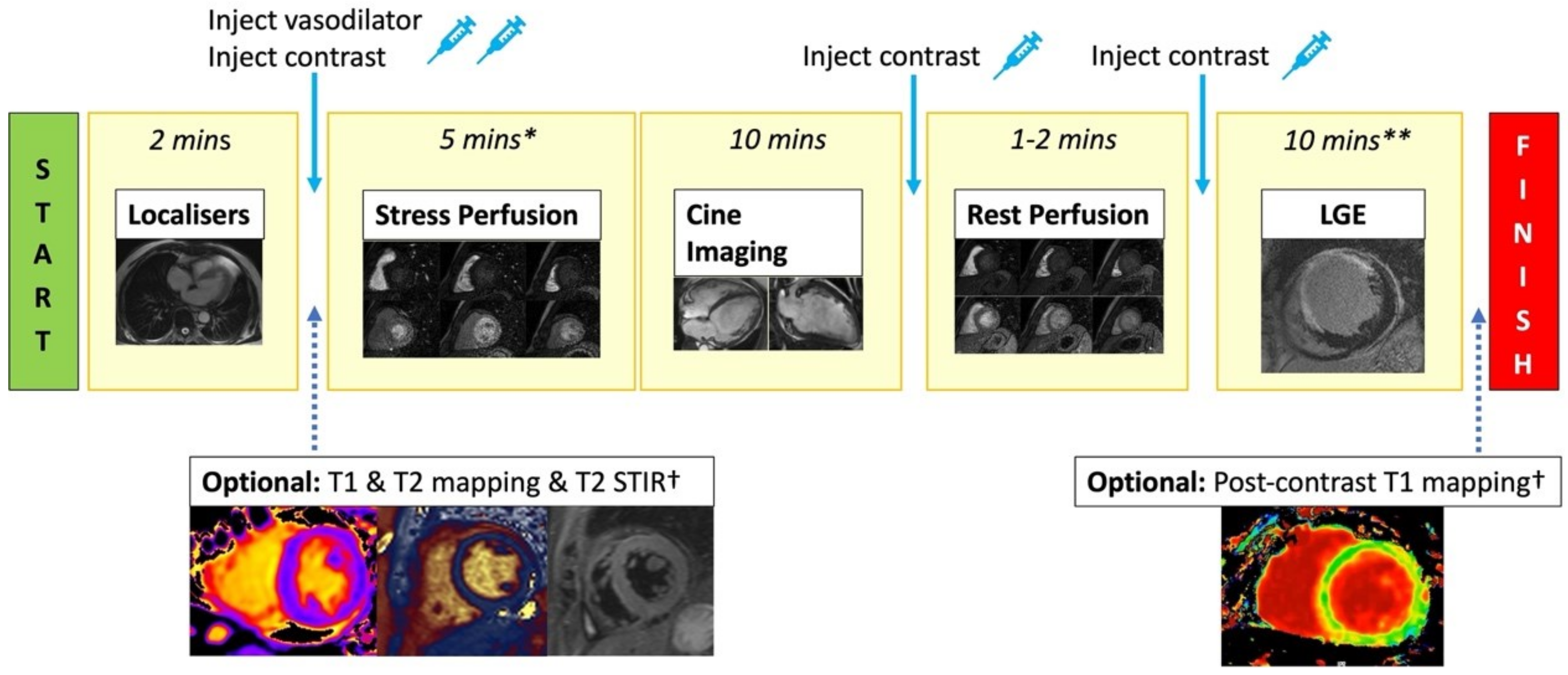 Diagnostics 13 00524 g003