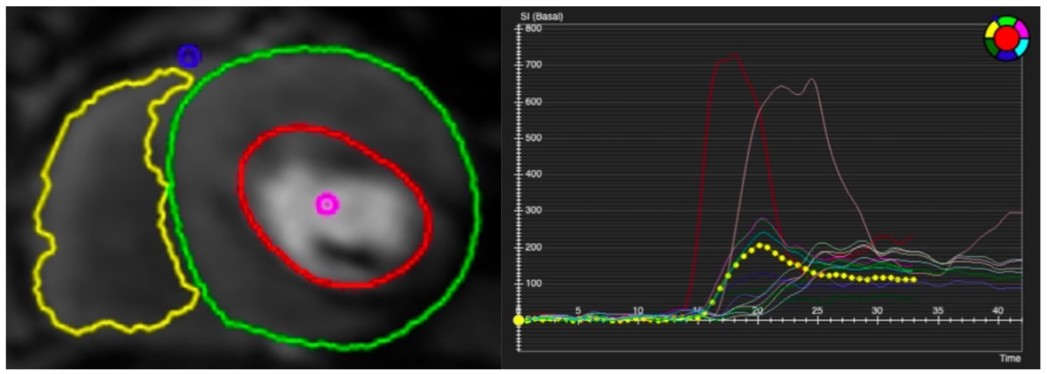 Diagnostics 13 00524 g005