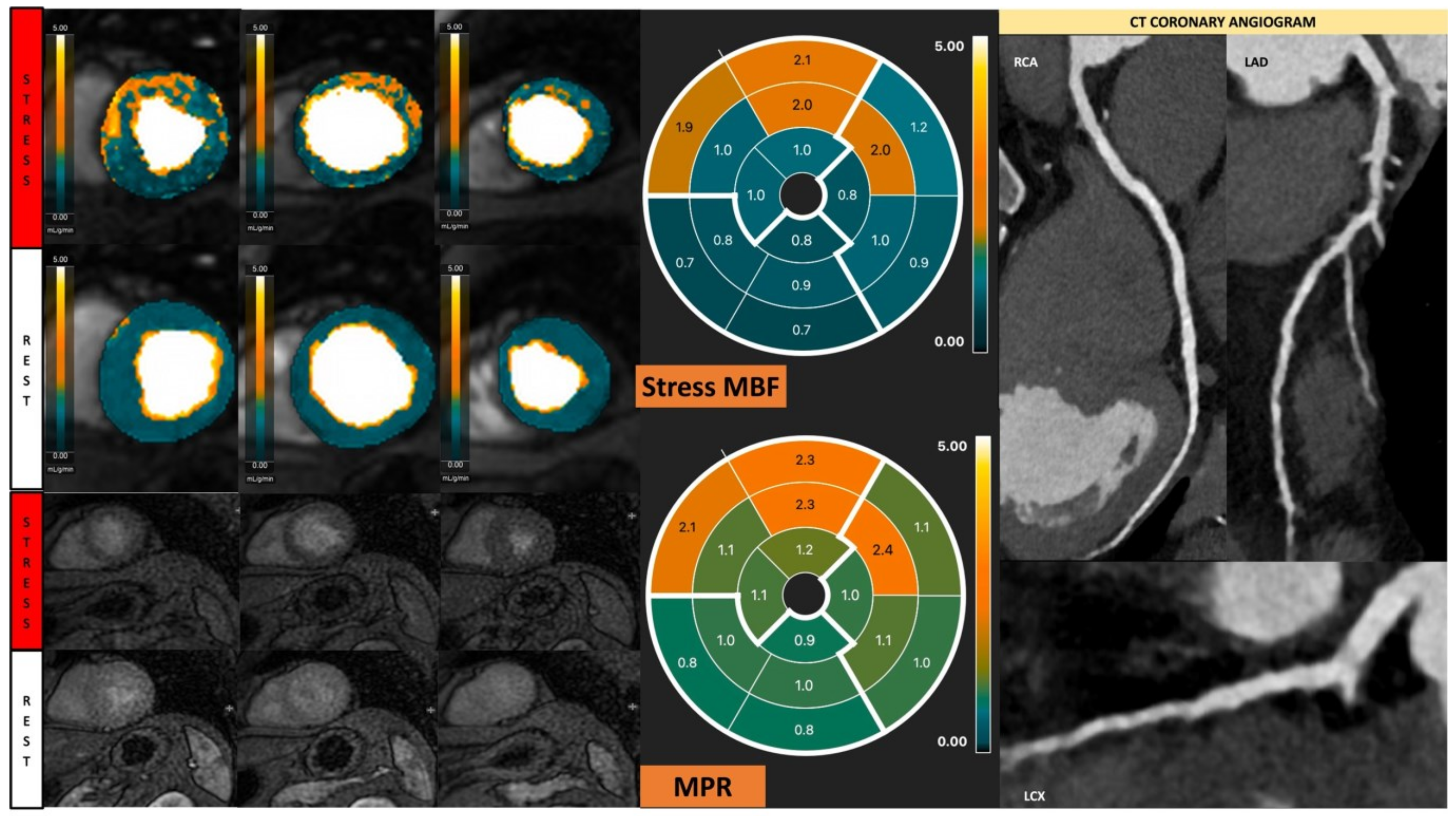Diagnostics 13 00524 g007
