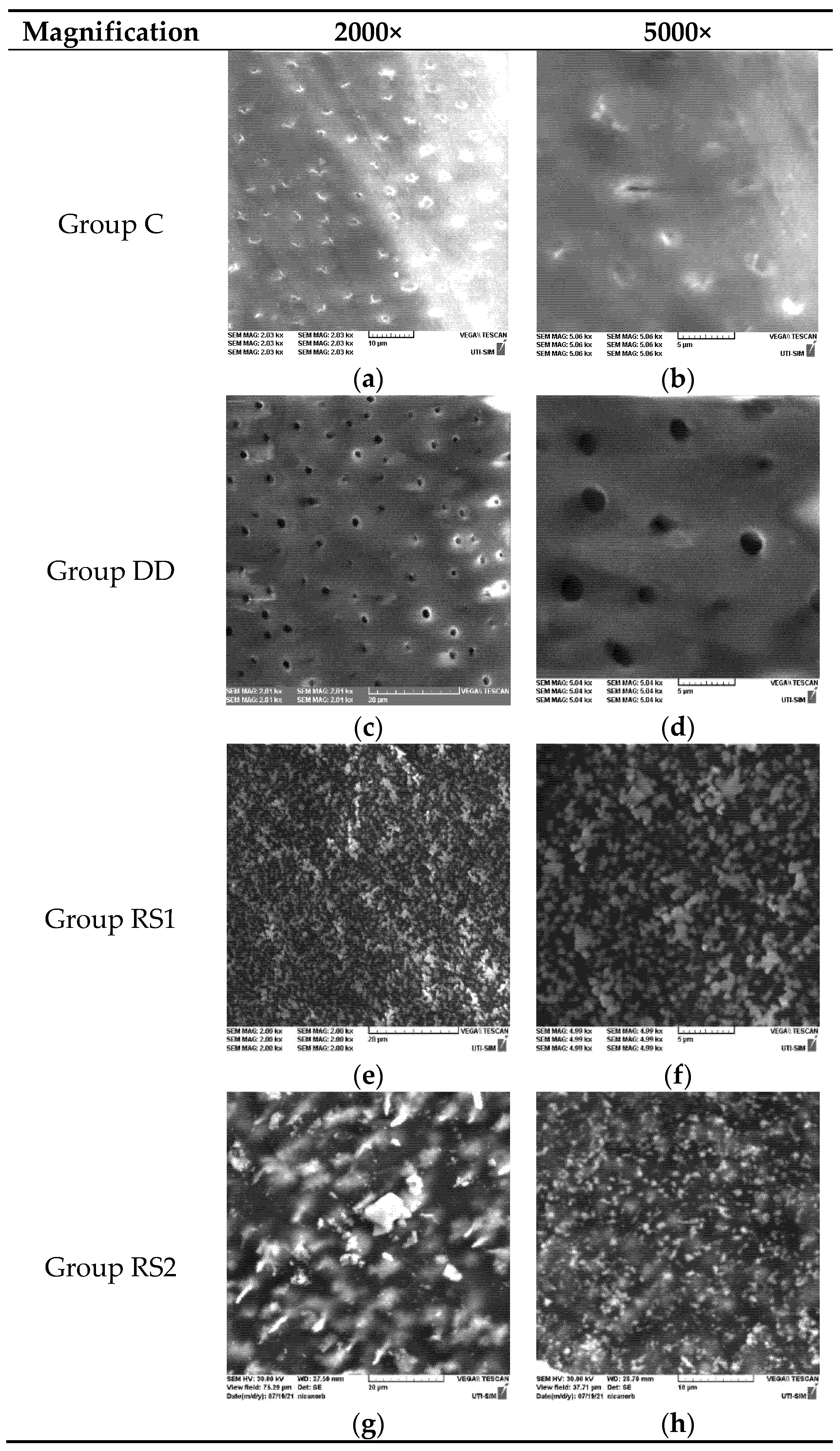 Diagnostics 13 00530 g002 Diagnostics 13 00530 g002