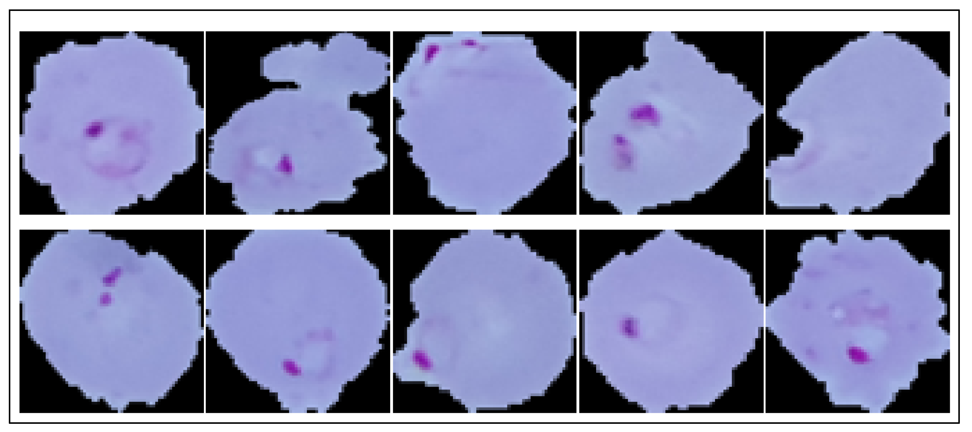 Diagnostics 13 00534 g001