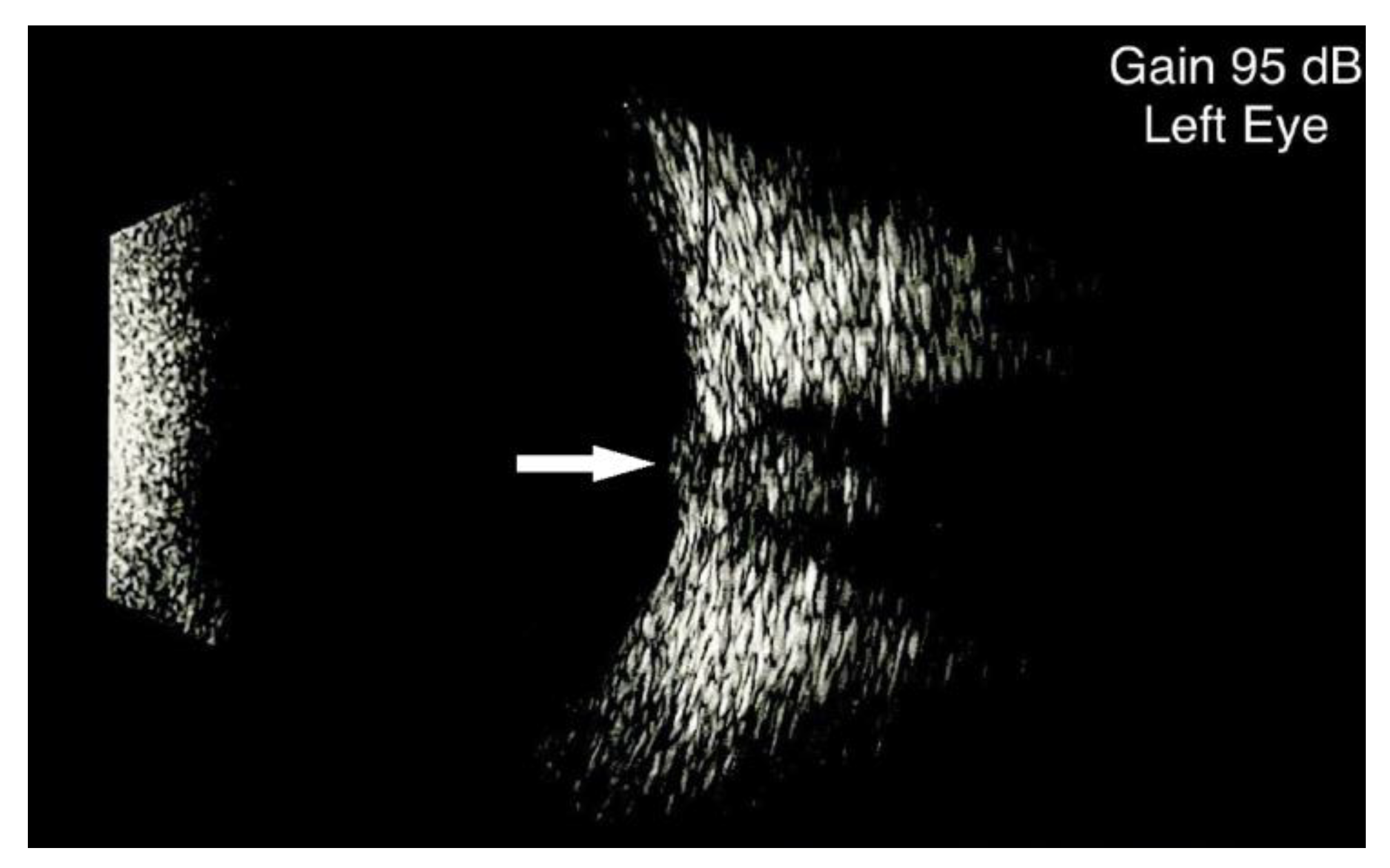 Diagnostics 13 00535 g001