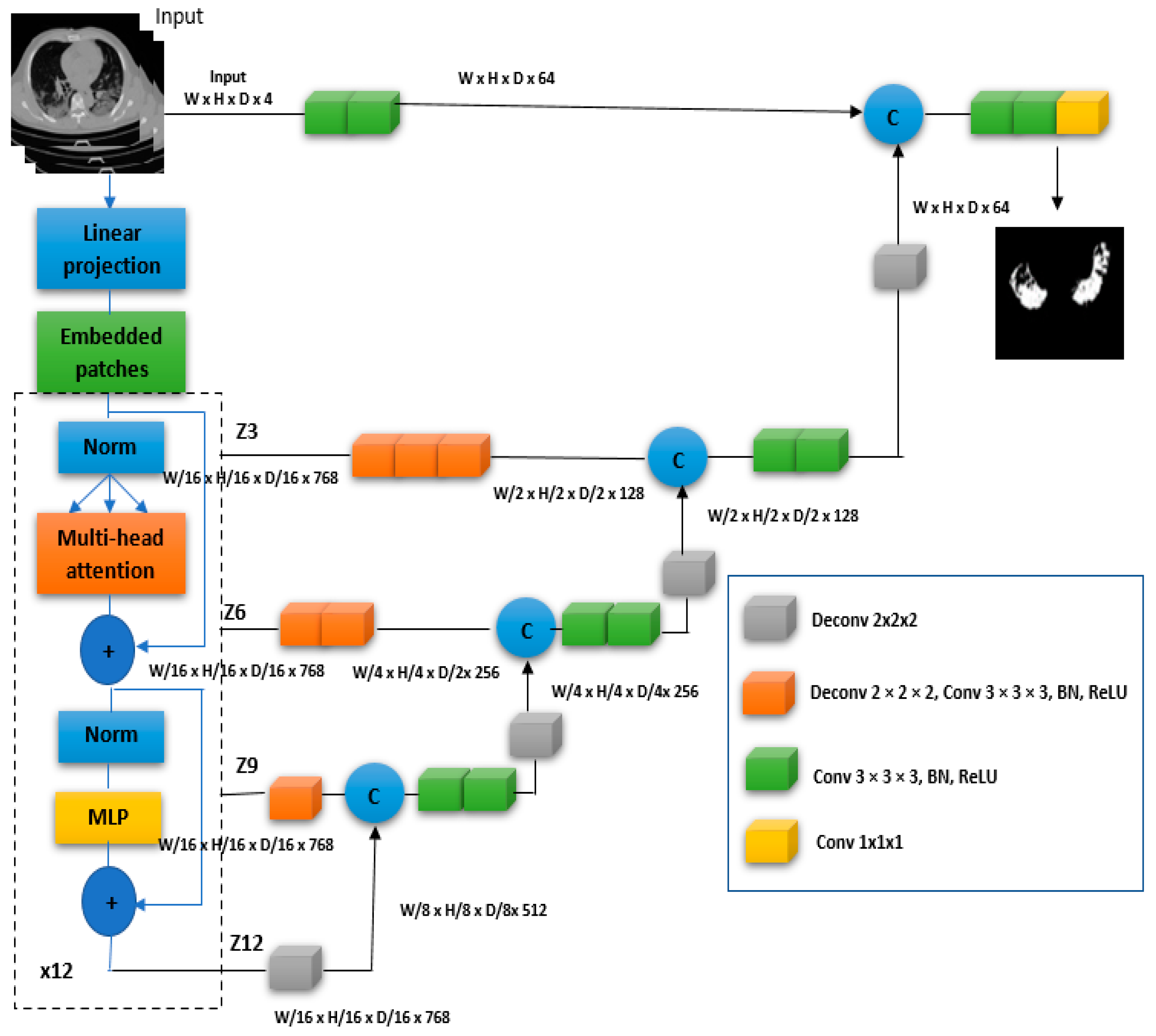 Diagnostics 13 00546 g001
