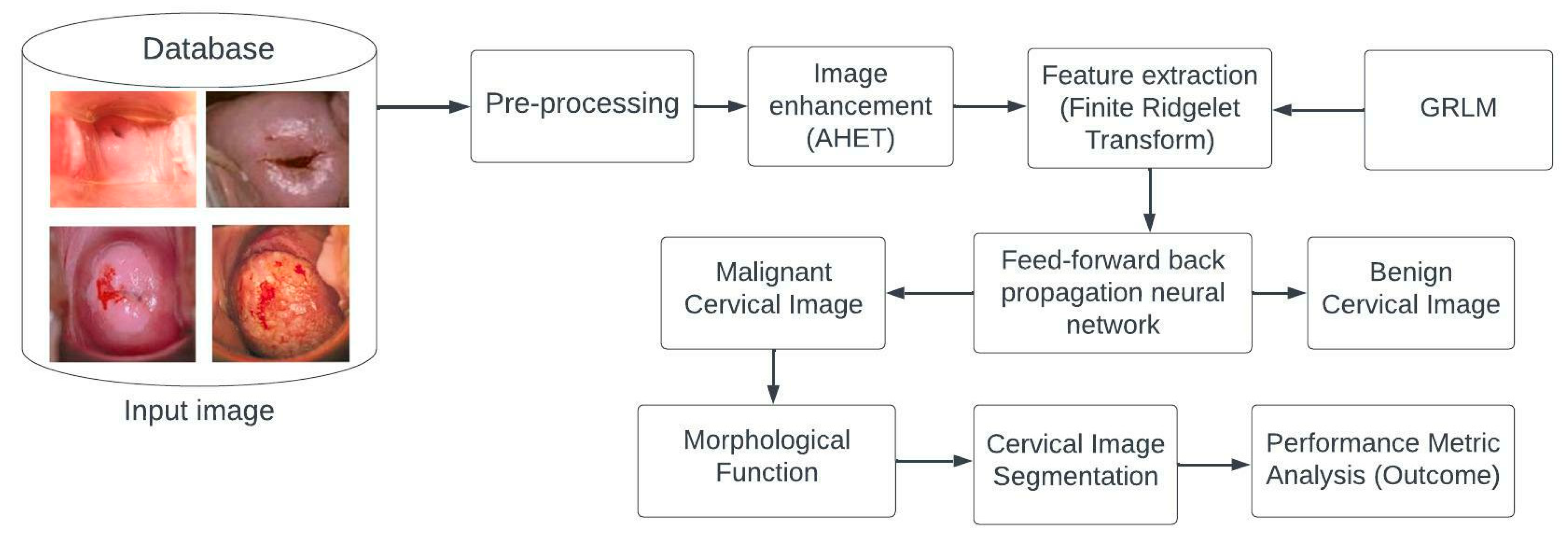 Diagnostics 13 00548 g002