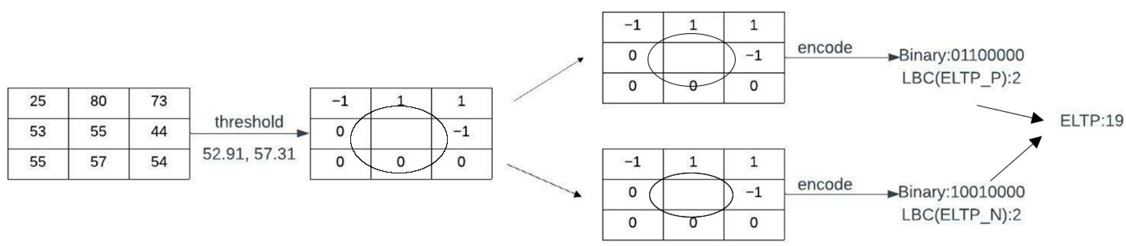 Diagnostics 13 00548 g005