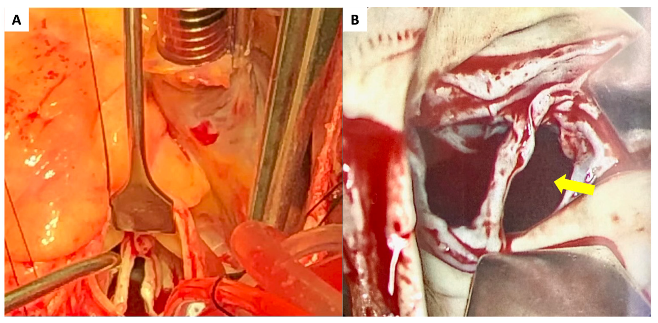 Diagnostics 13 00549 g002