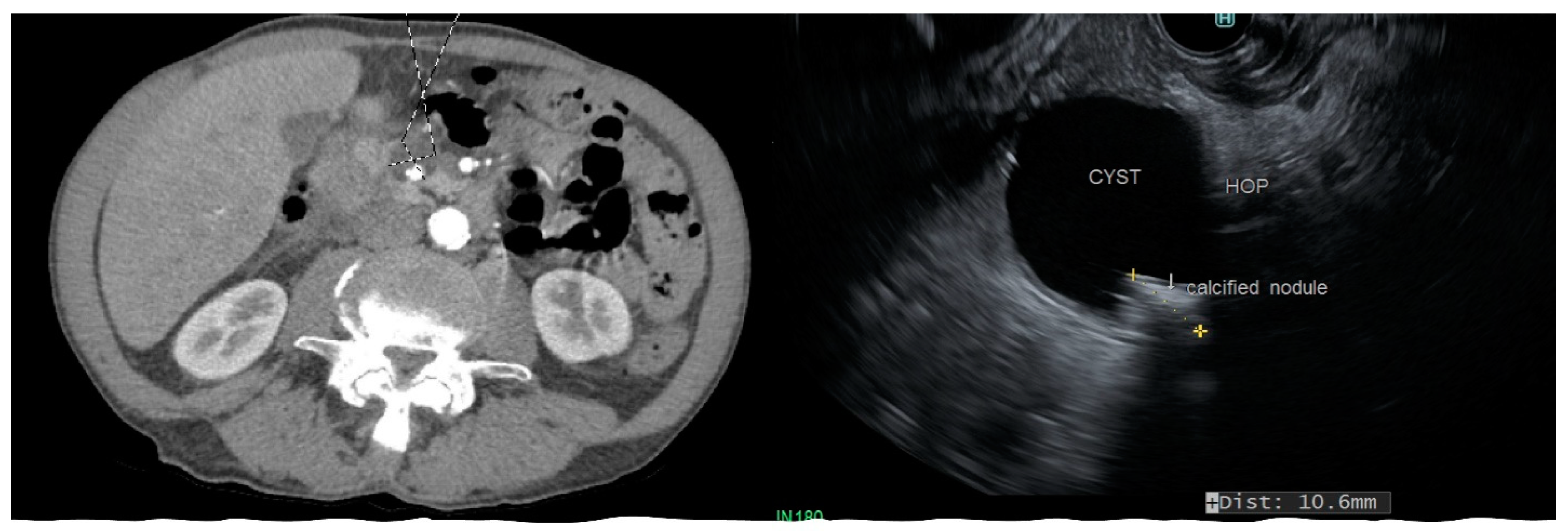 Diagnostics 13 00550 g002