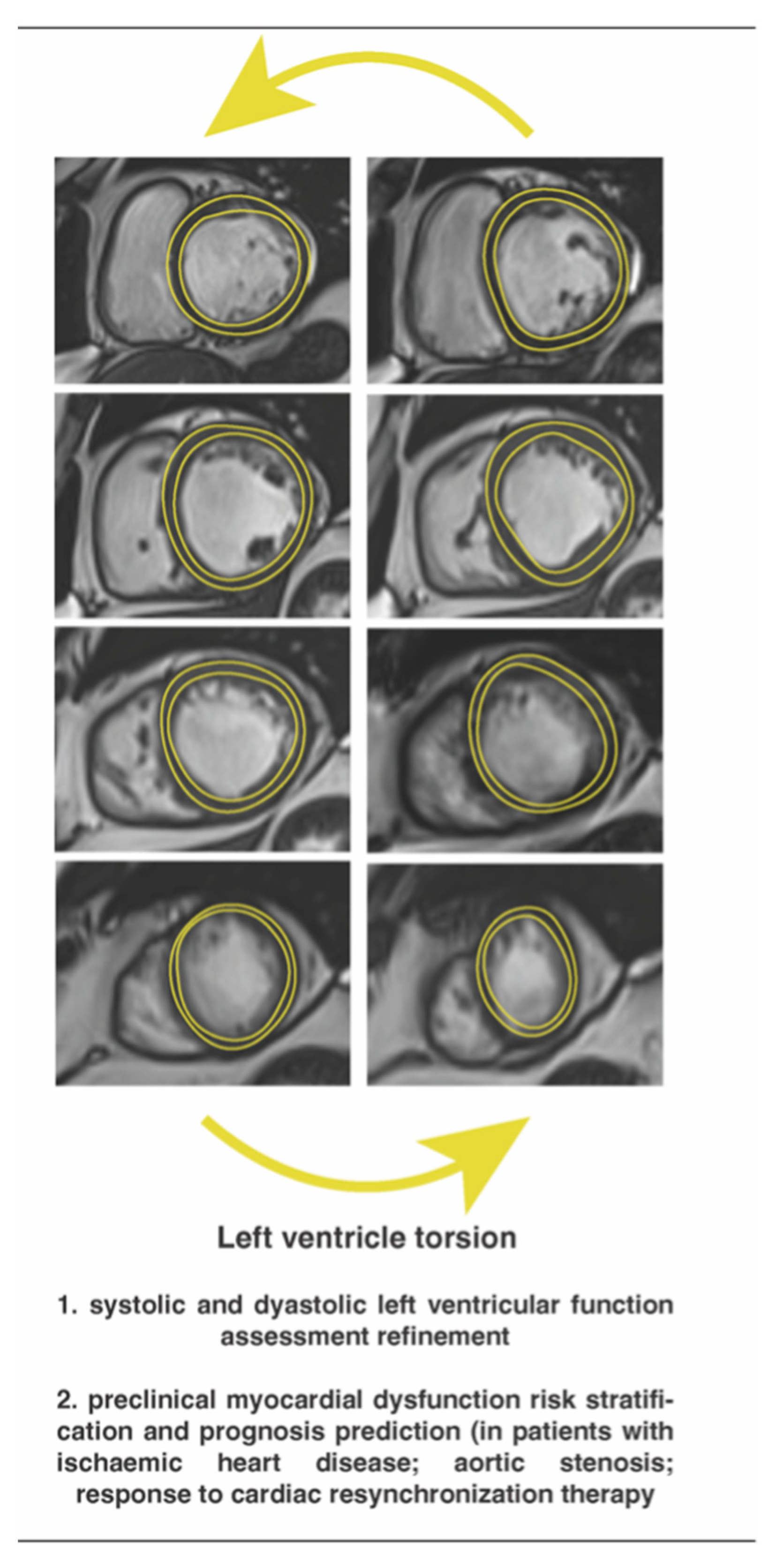 Diagnostics 13 00553 g001