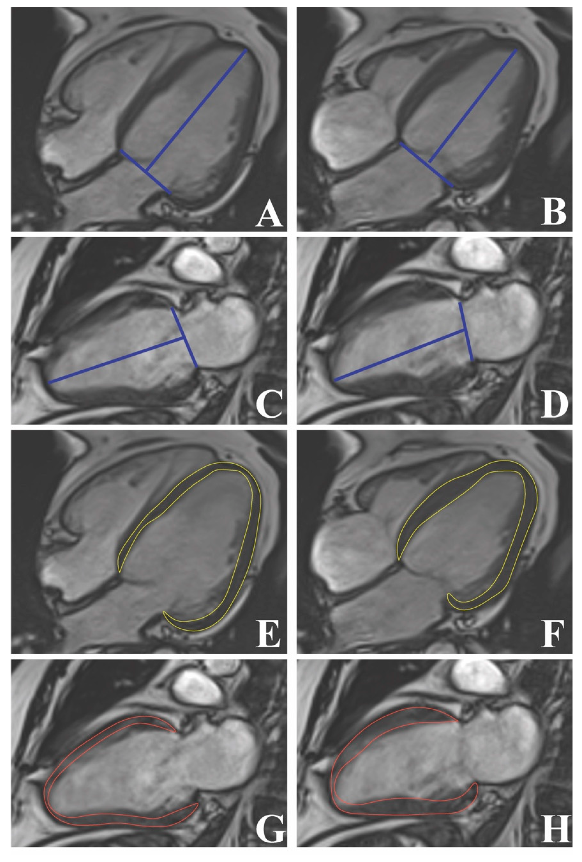 Diagnostics 13 00553 g002