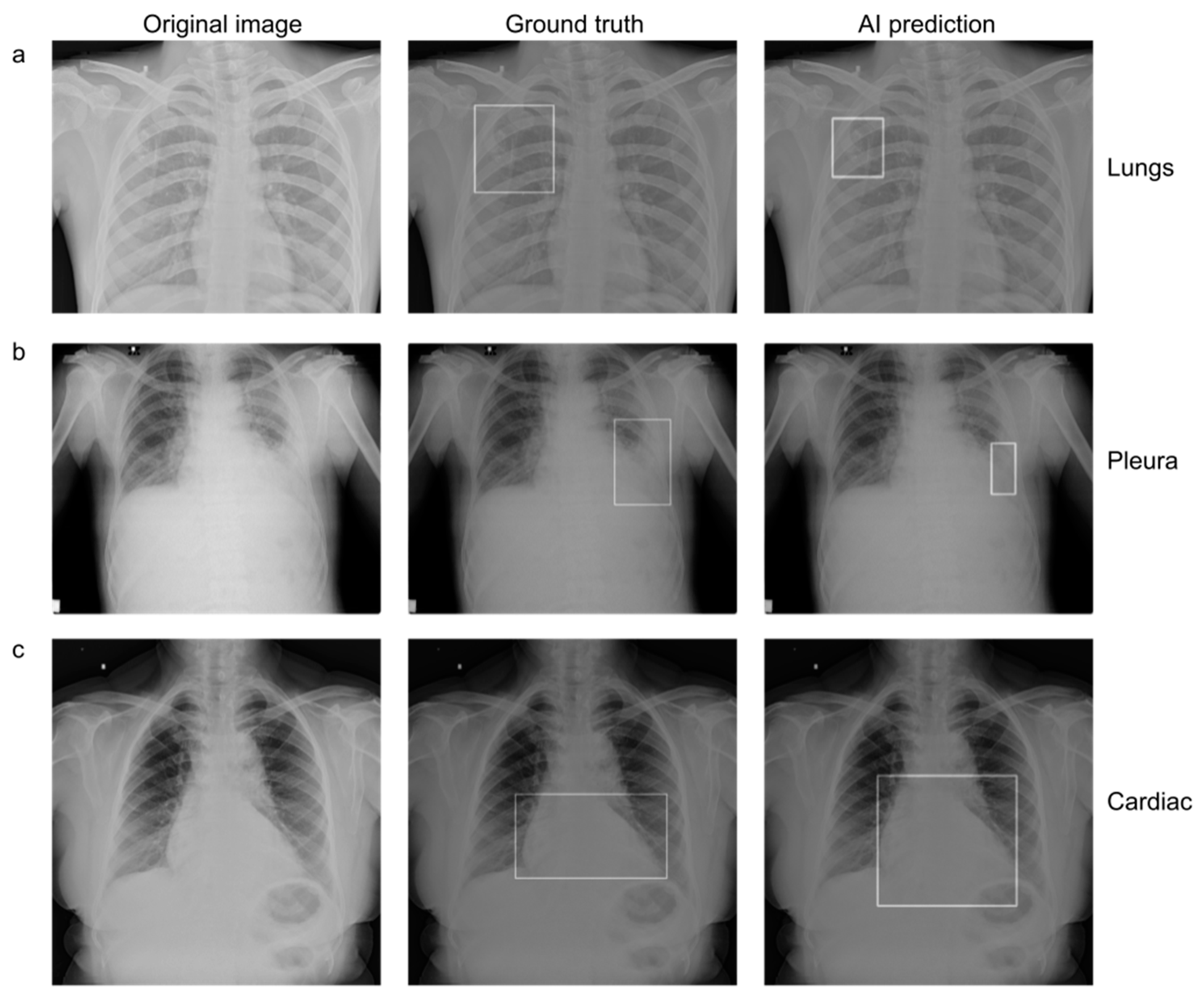 Diagnostics 13 00557 g006