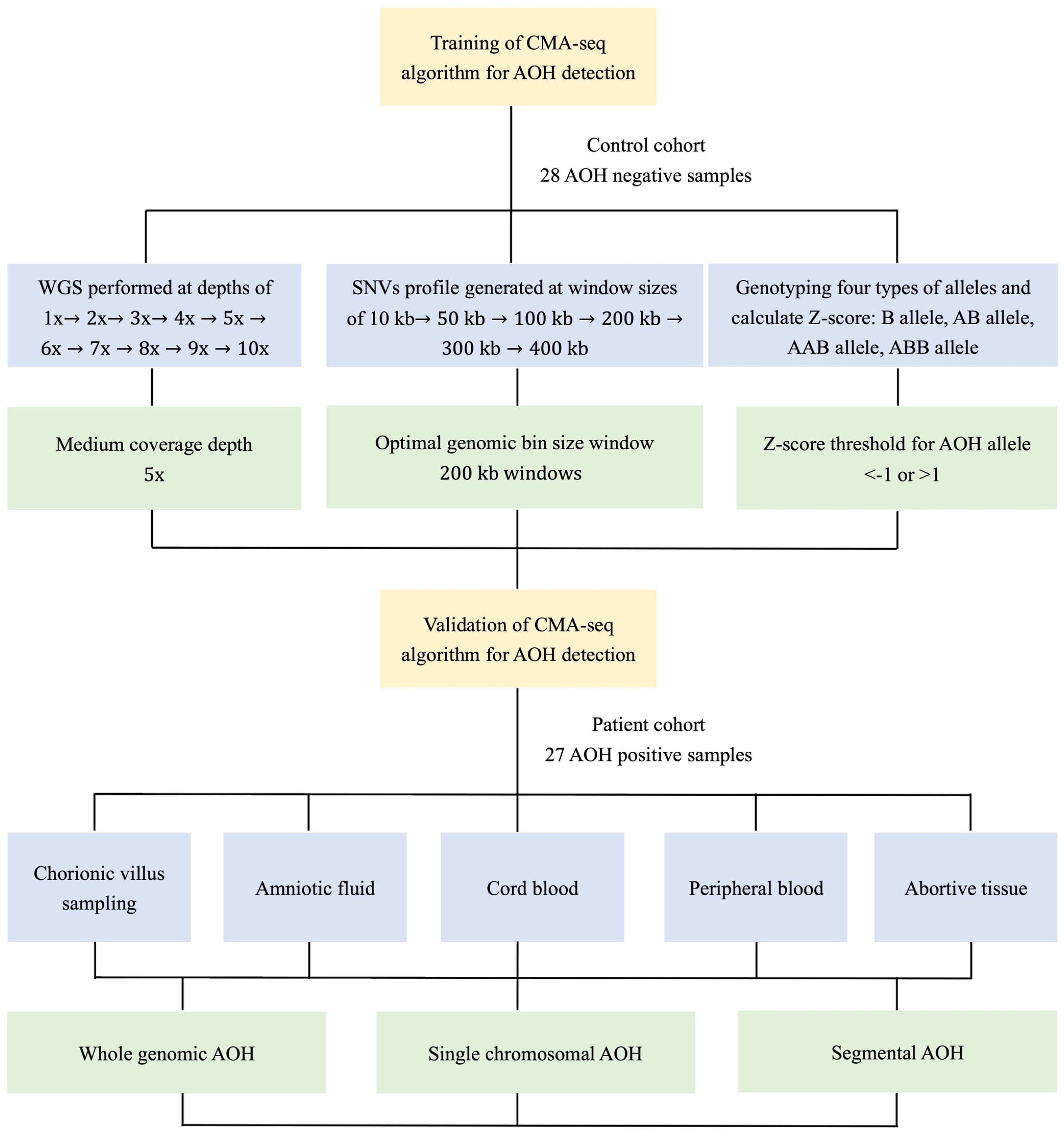 Diagnostics 13 00560 g001