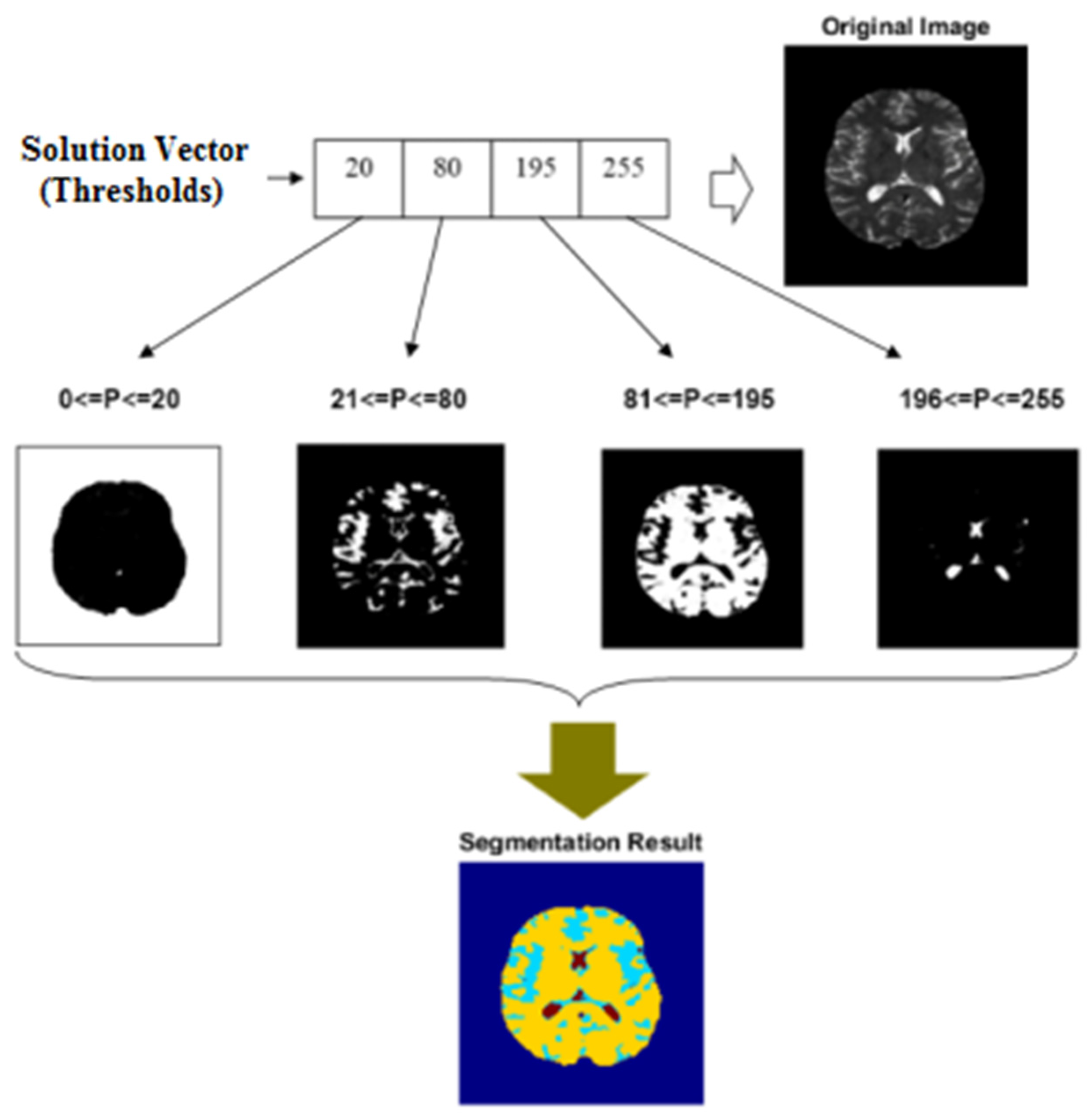 Diagnostics 13 00561 g002