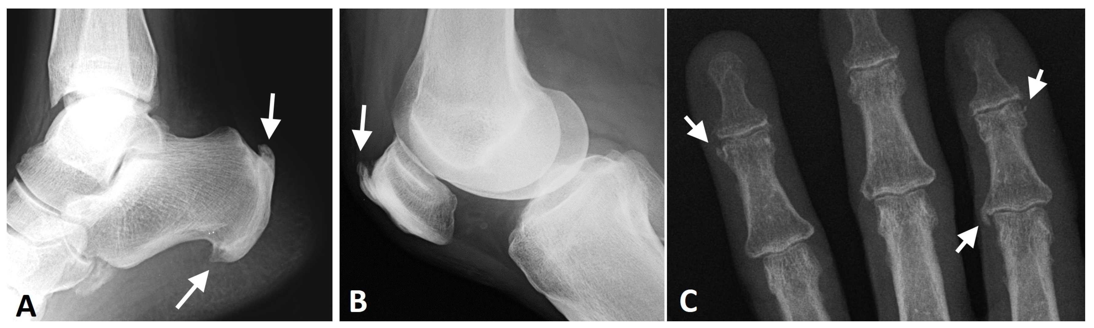 Diagnostics 13 00563 g009