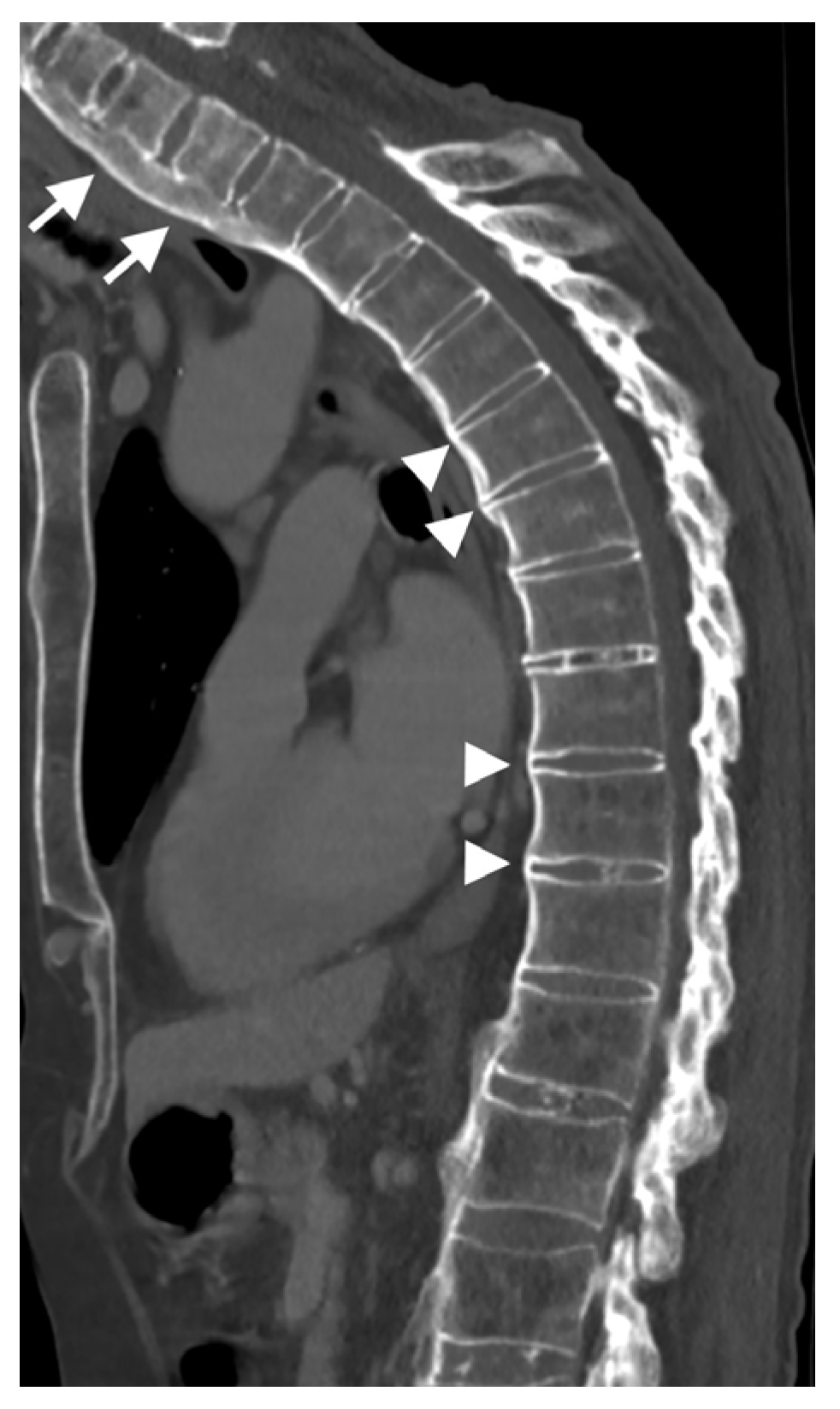 Diagnostics 13 00563 g010