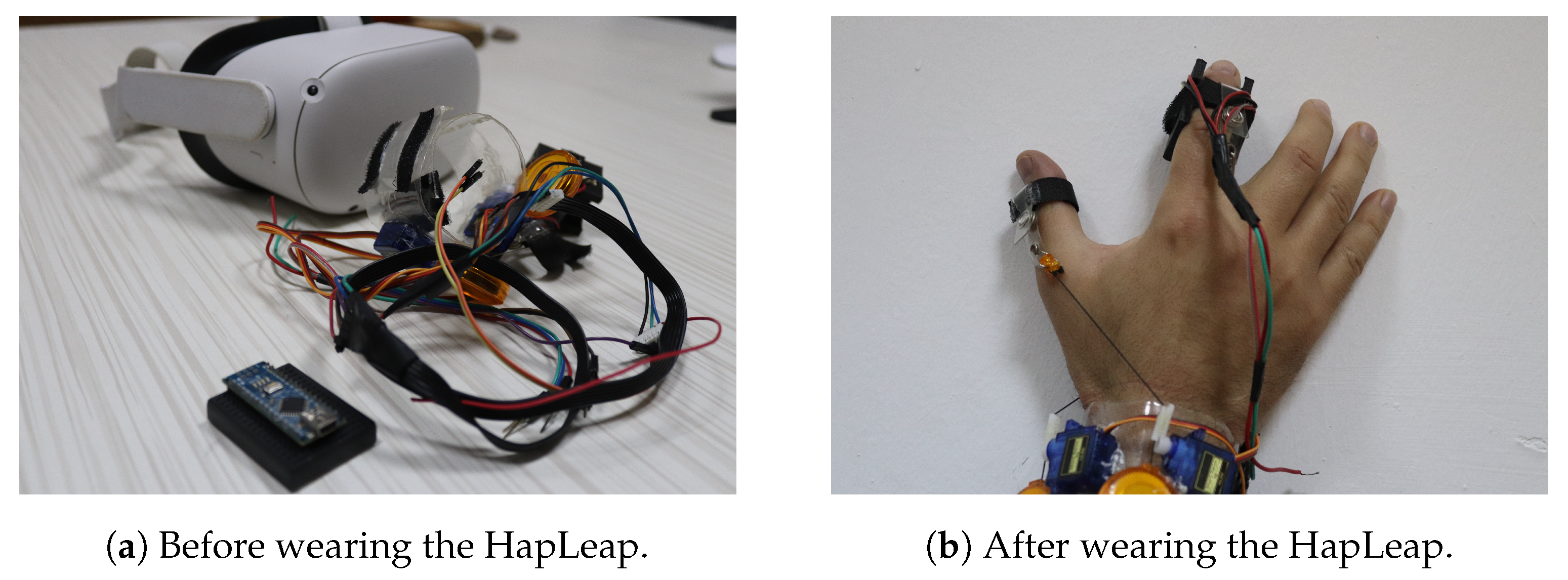 Diagnostics 13 00567 g006