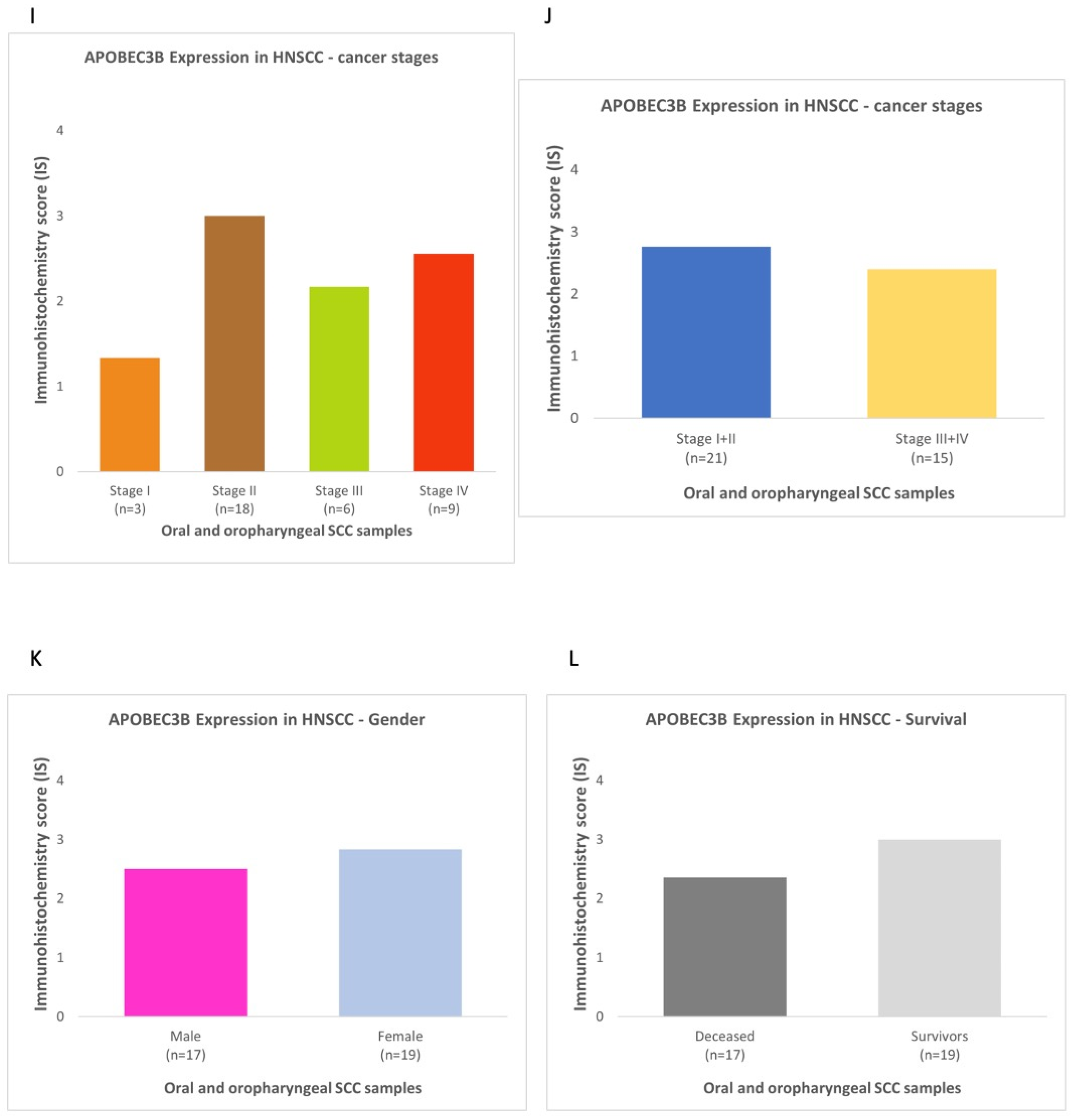 Diagnostics 13 00569 g002c Diagnostics 13 00569 g002c