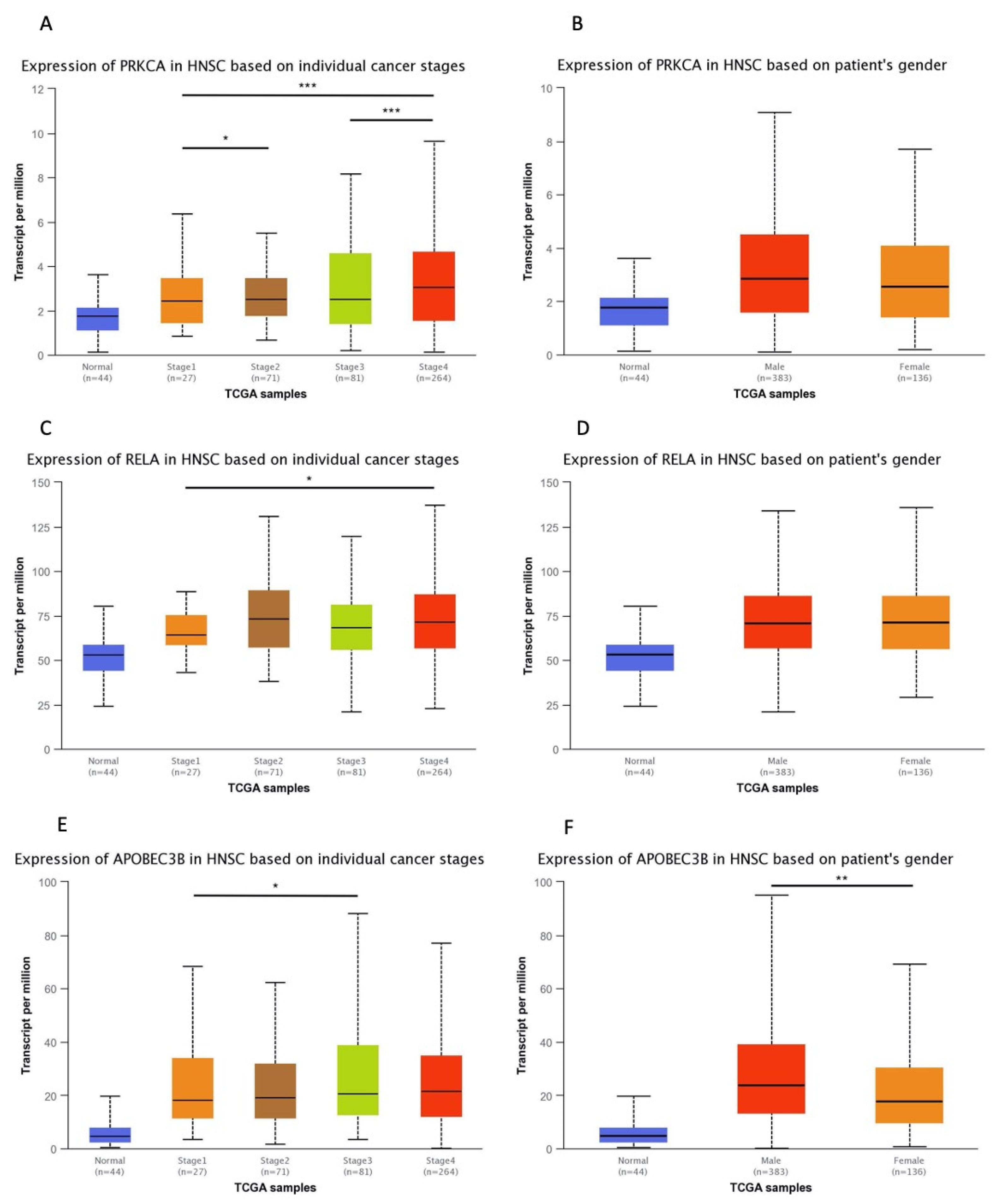 Diagnostics 13 00569 g003 Diagnostics 13 00569 g003