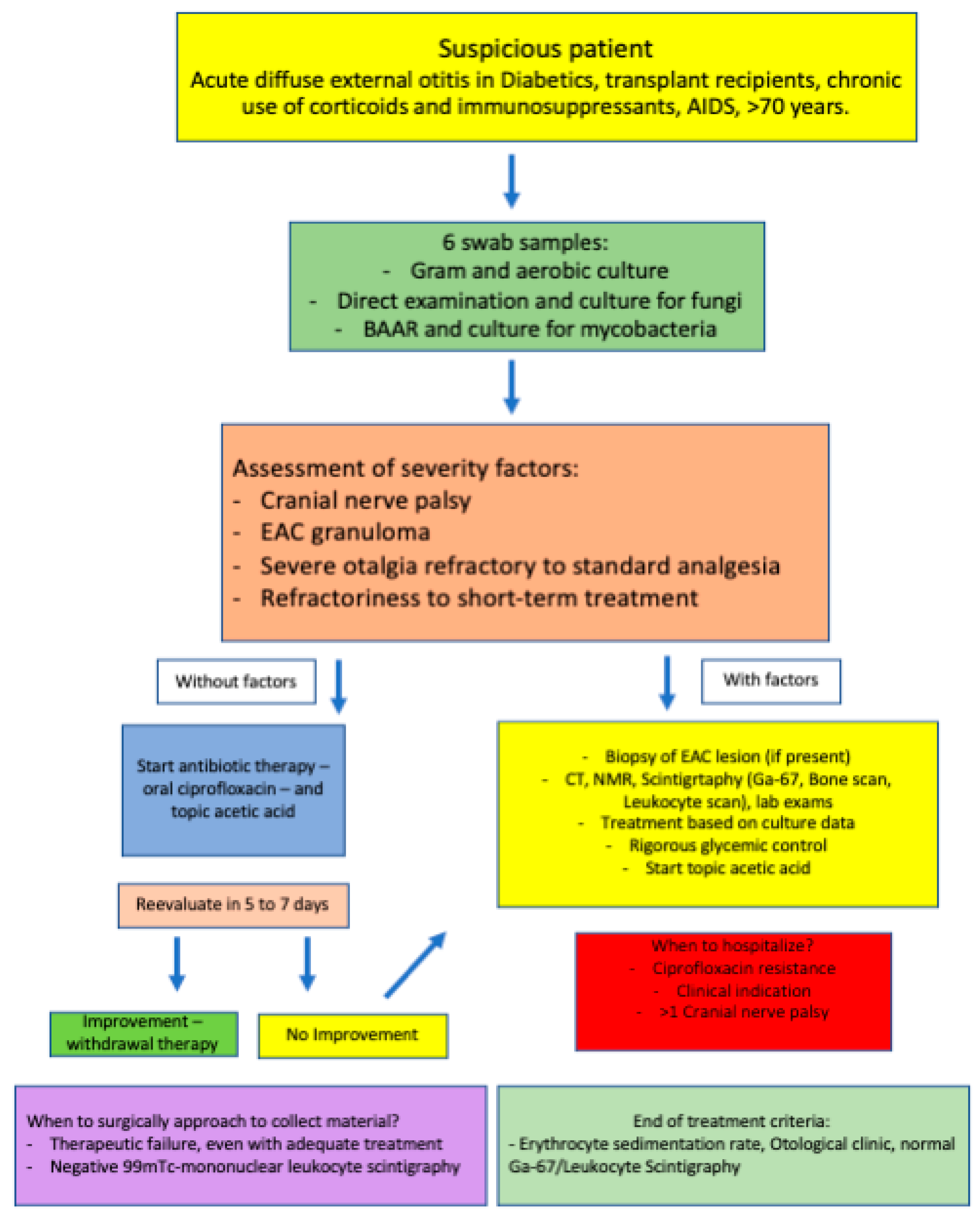 Diagnostics 13 00570 g001