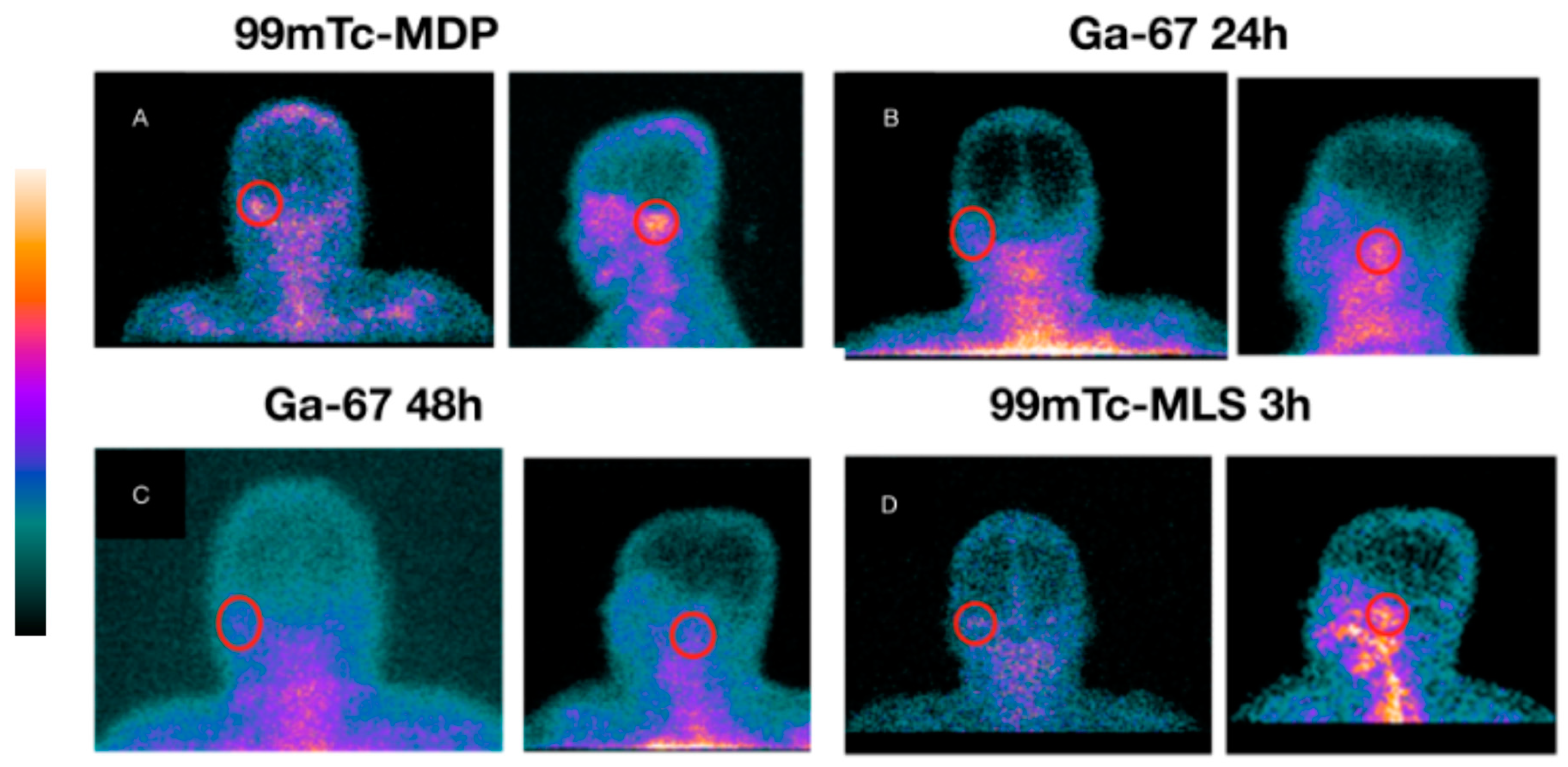 Diagnostics 13 00570 g003