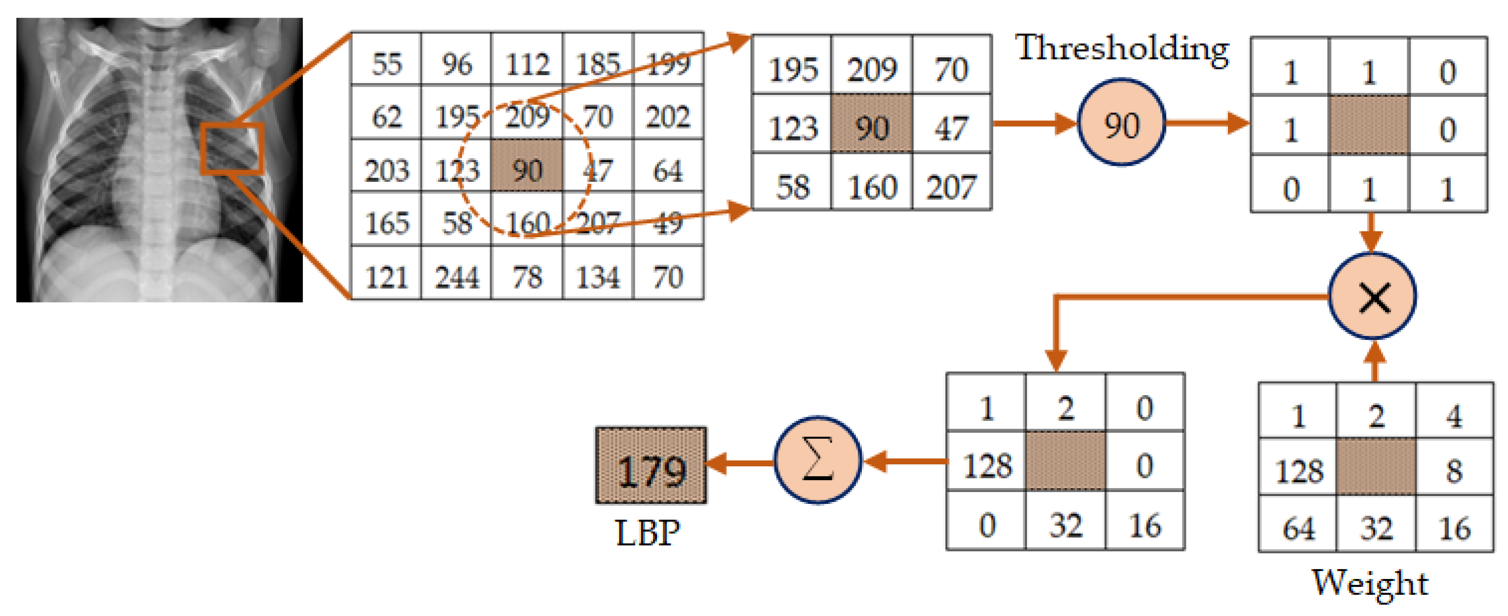 Diagnostics 13 00574 g003