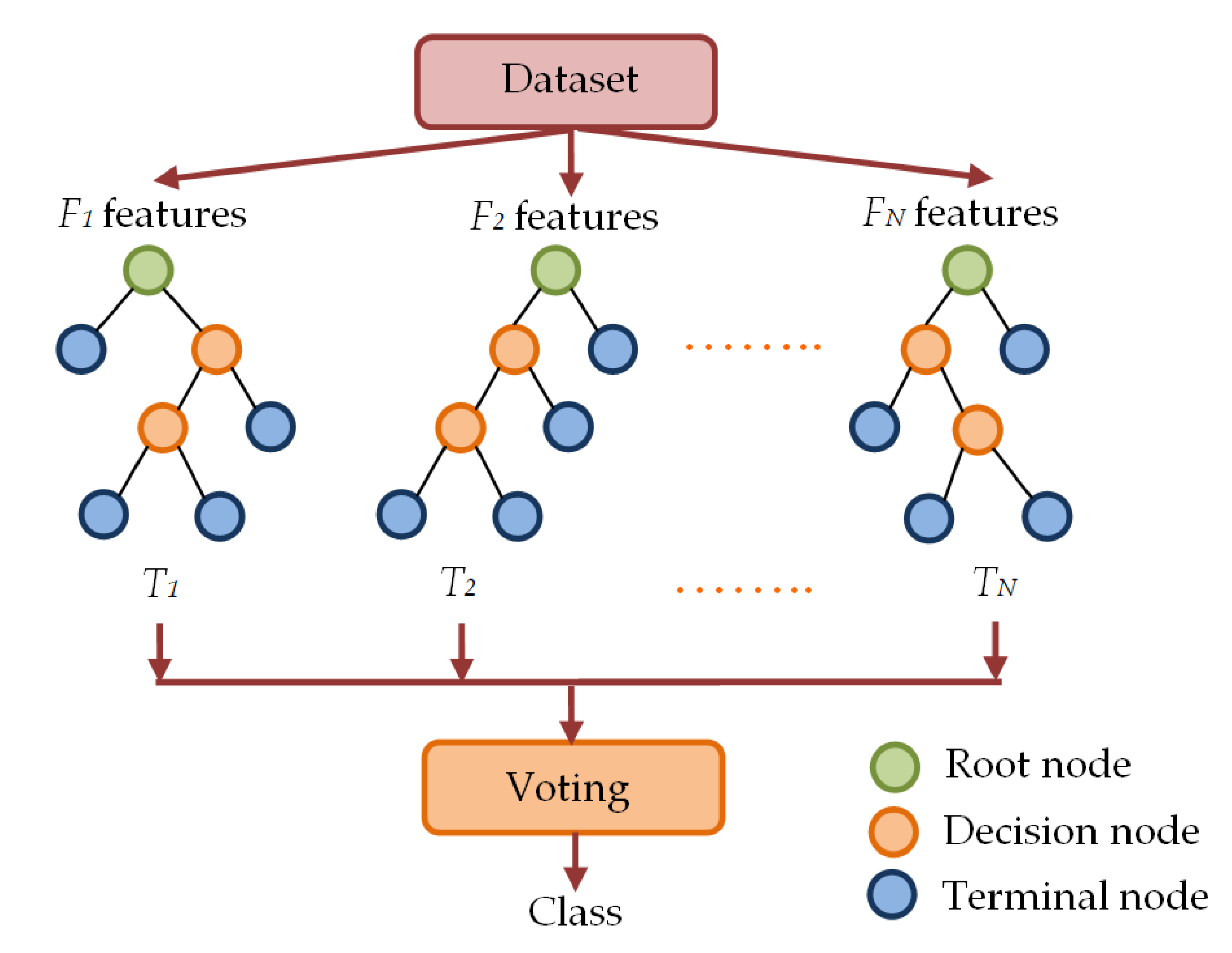 Diagnostics 13 00574 g008