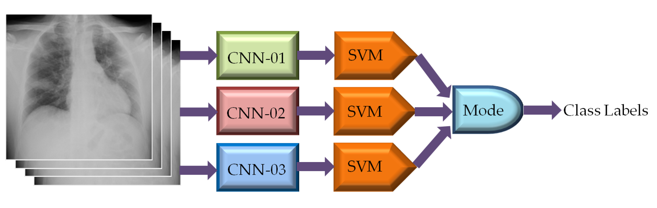 Diagnostics 13 00574 g010