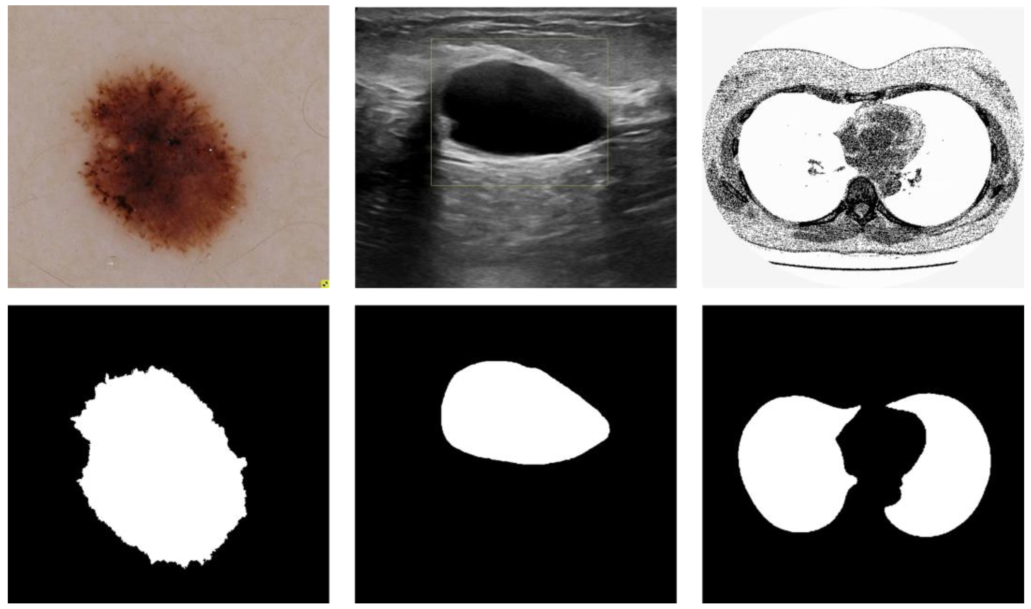 Diagnostics 13 00576 g003