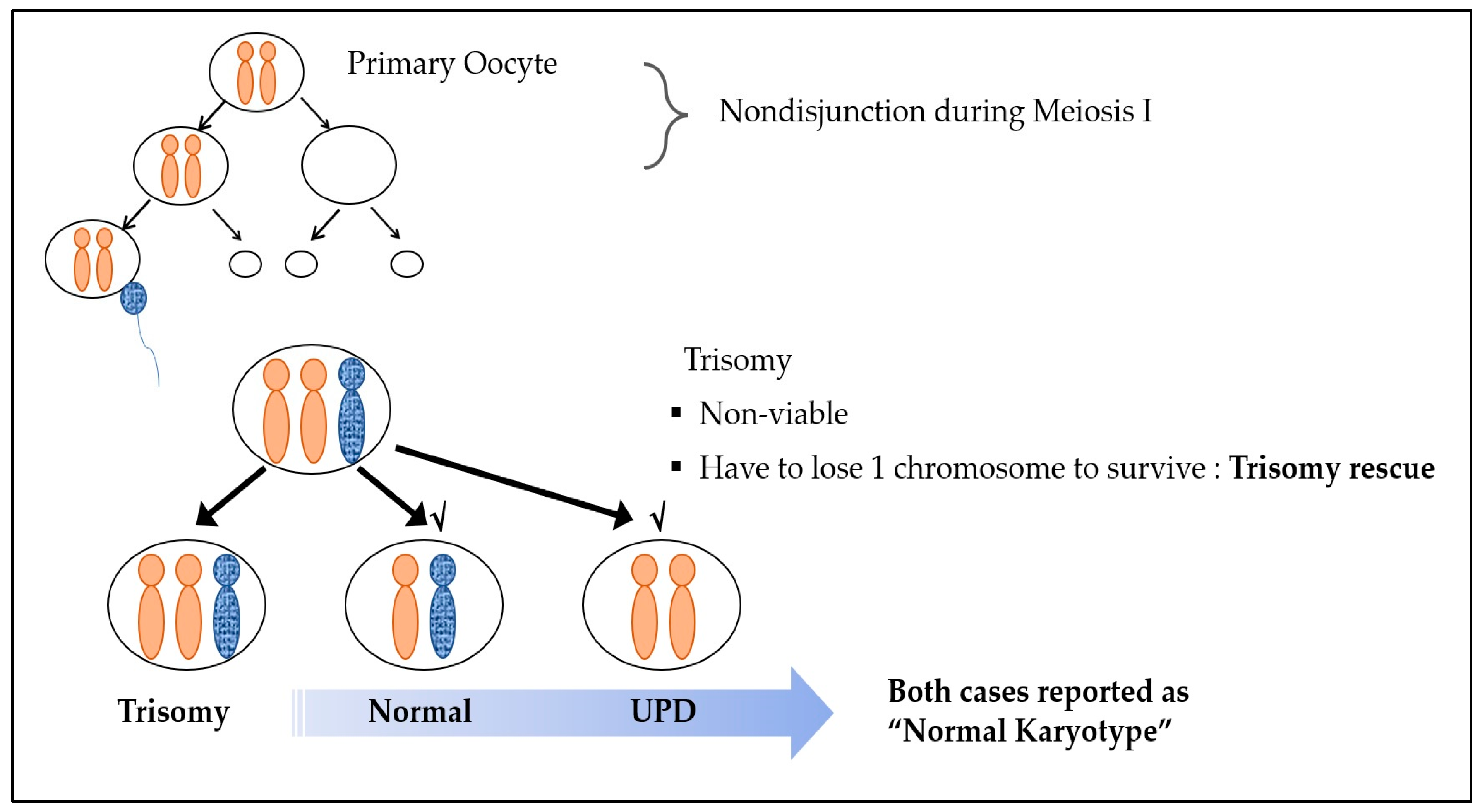 Diagnostics 13 00580 g001